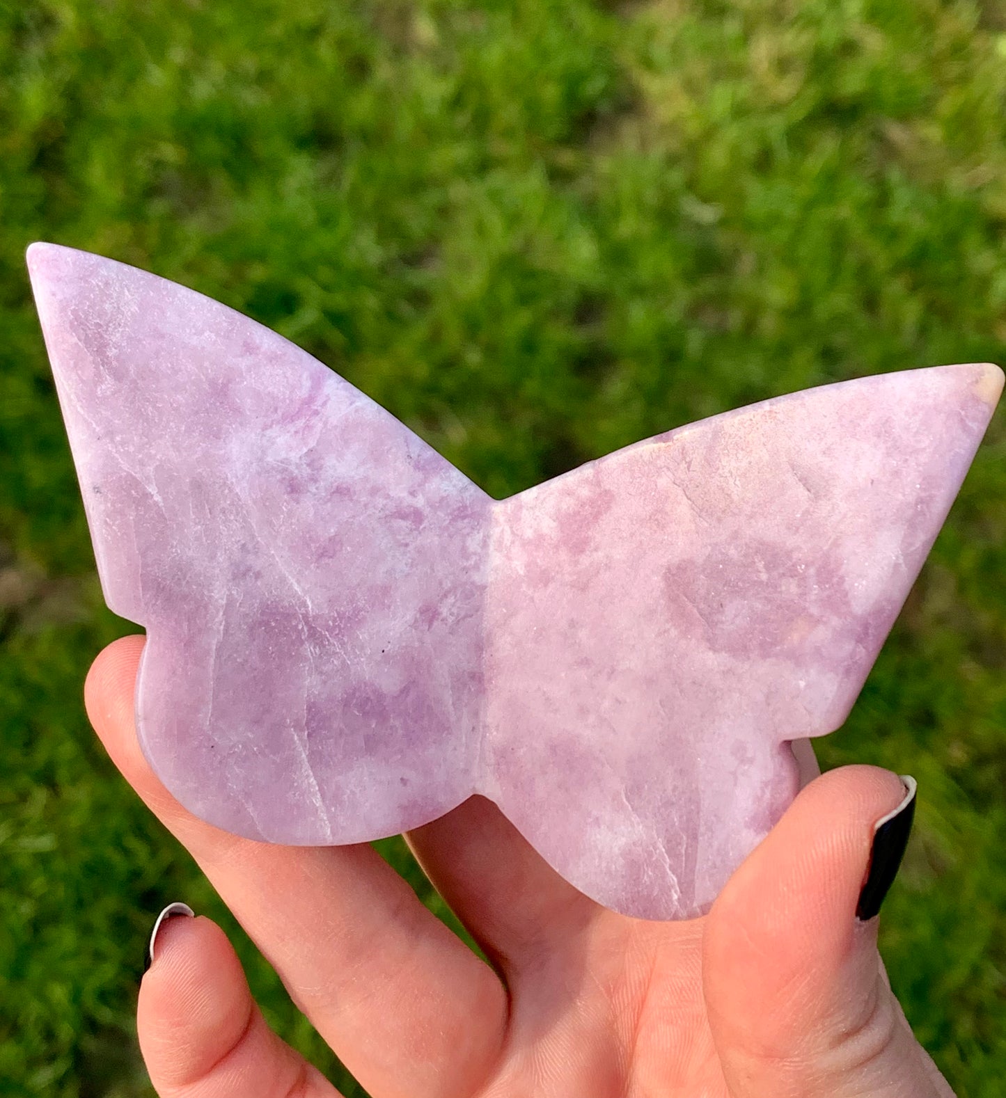 Papillon Lepidolite 1