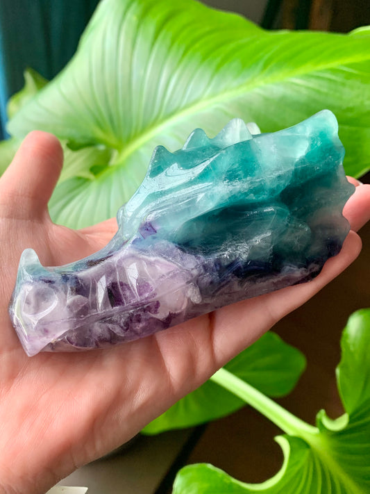 Tête dragon fluorite