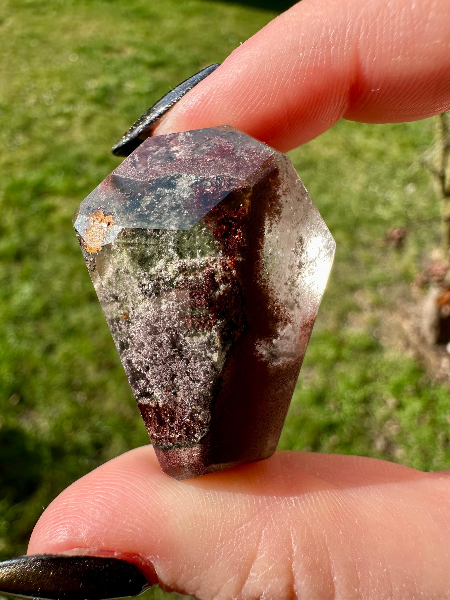 Lodolite / quartz jardin 32