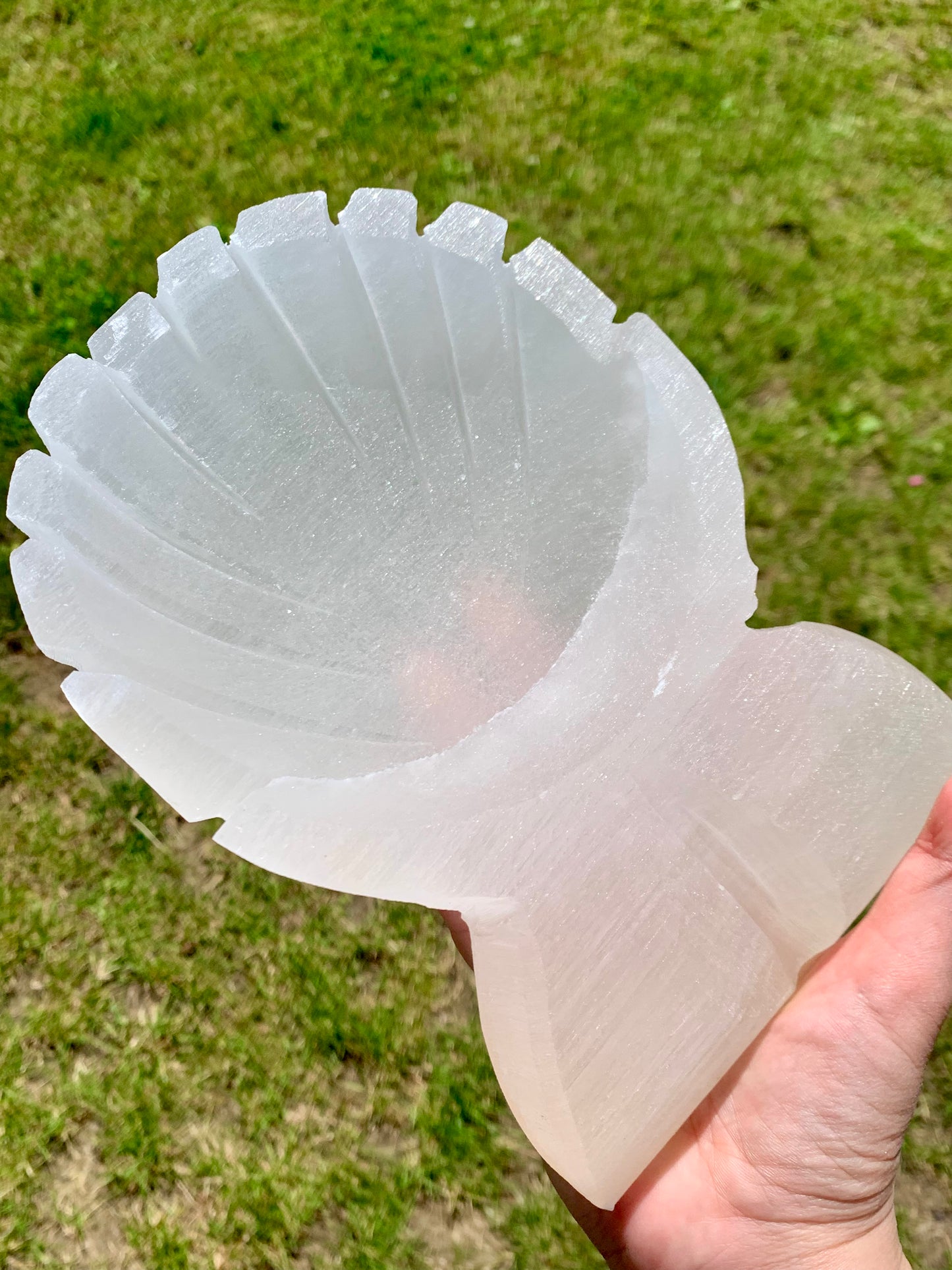 Bol coquillage selenite