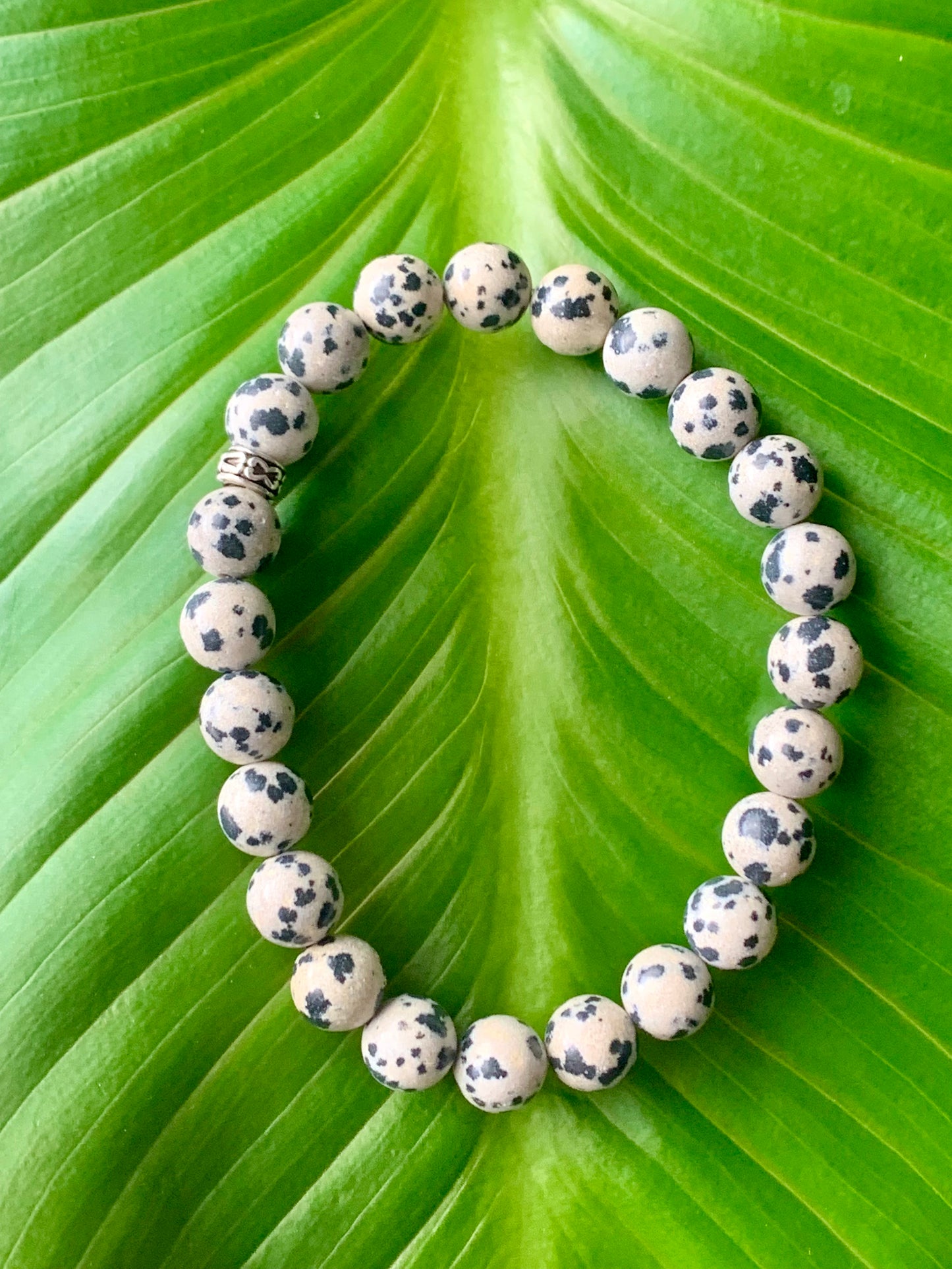 Bracelet en Jaspe Dalmatien