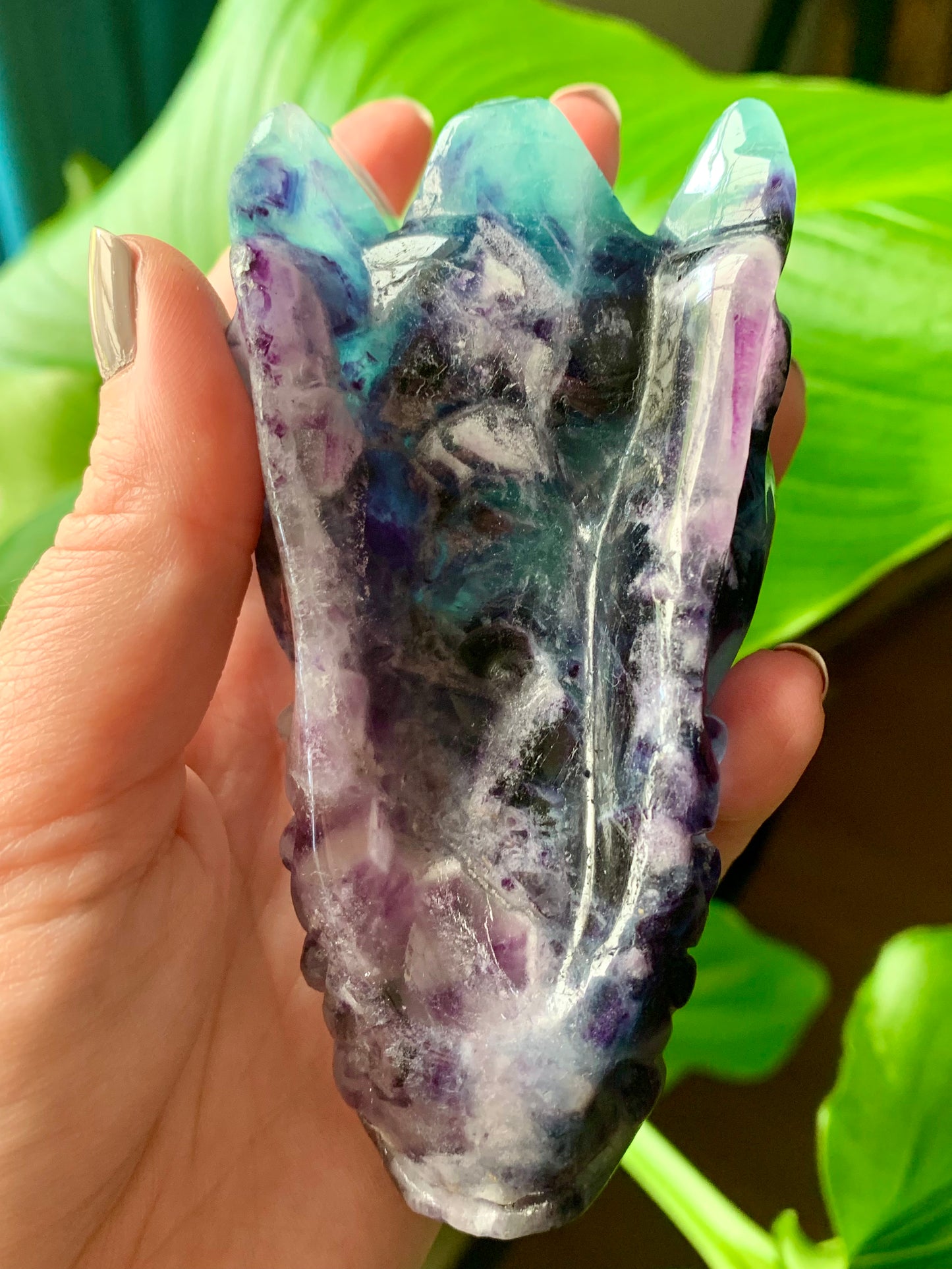 Tête dragon fluorite