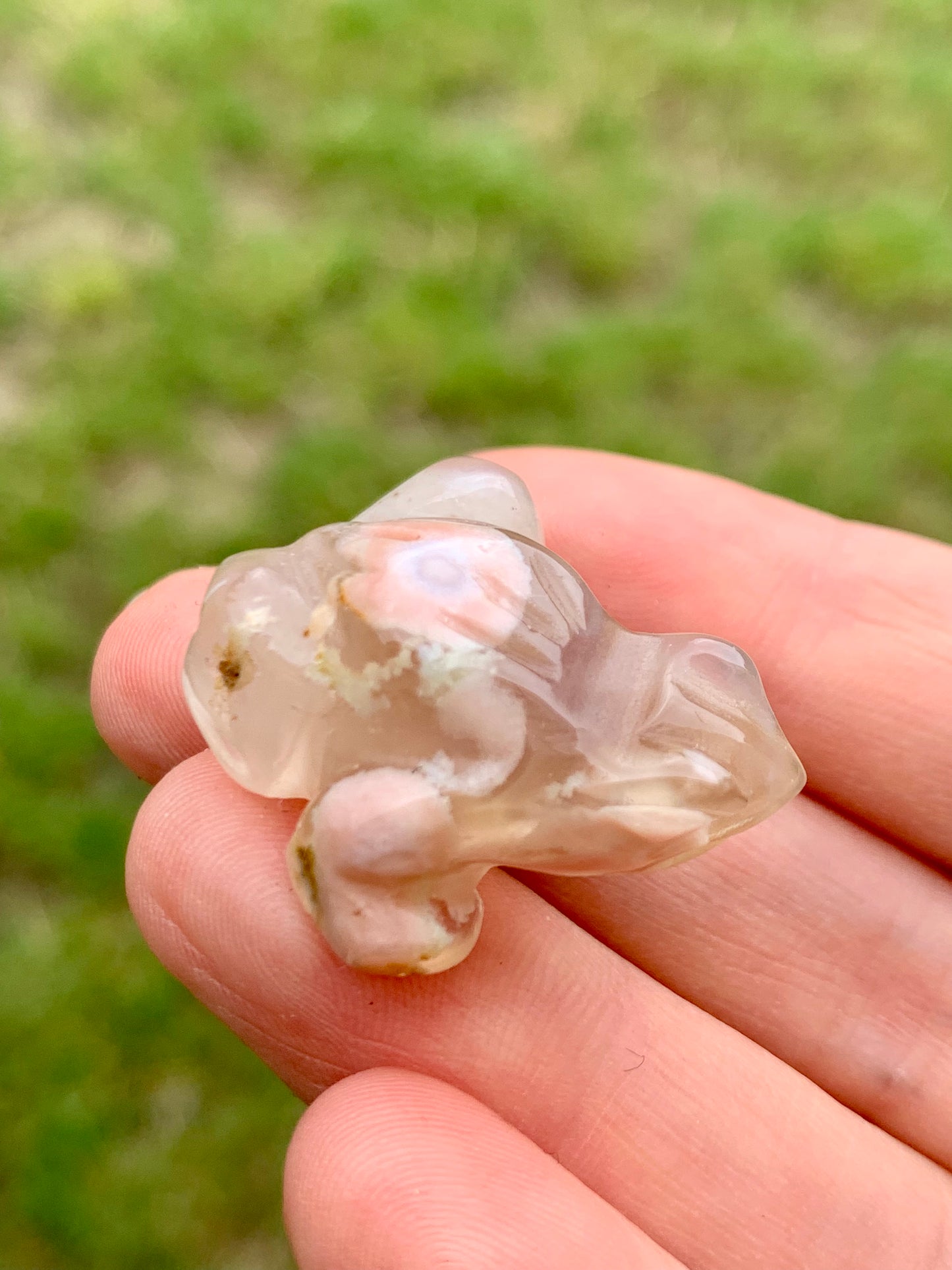 Grenouille agate fleur