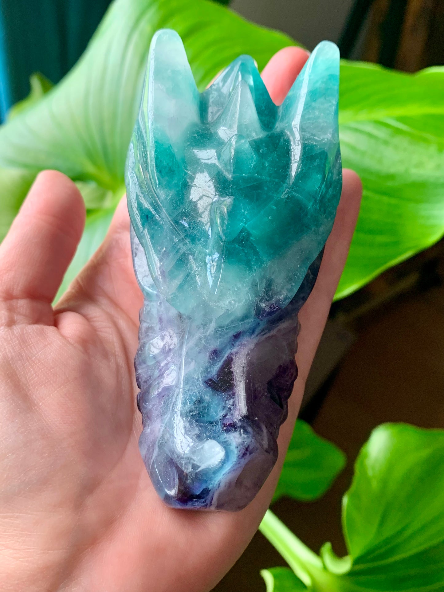 Tête dragon fluorite