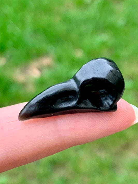 Crâne corbeau obsidienne