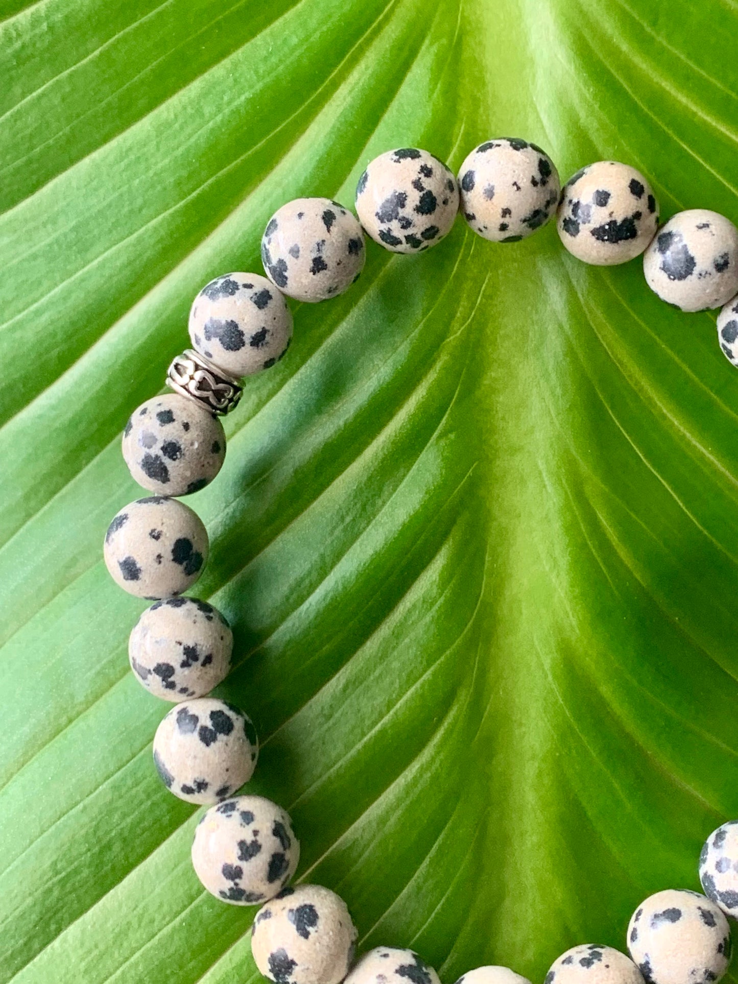 Bracelet en Jaspe Dalmatien