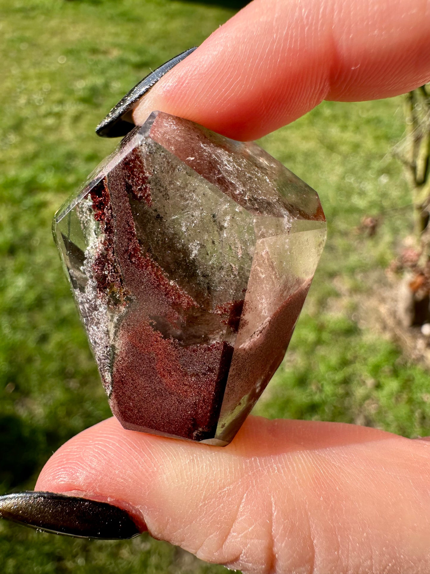 Lodolite / quartz jardin 32
