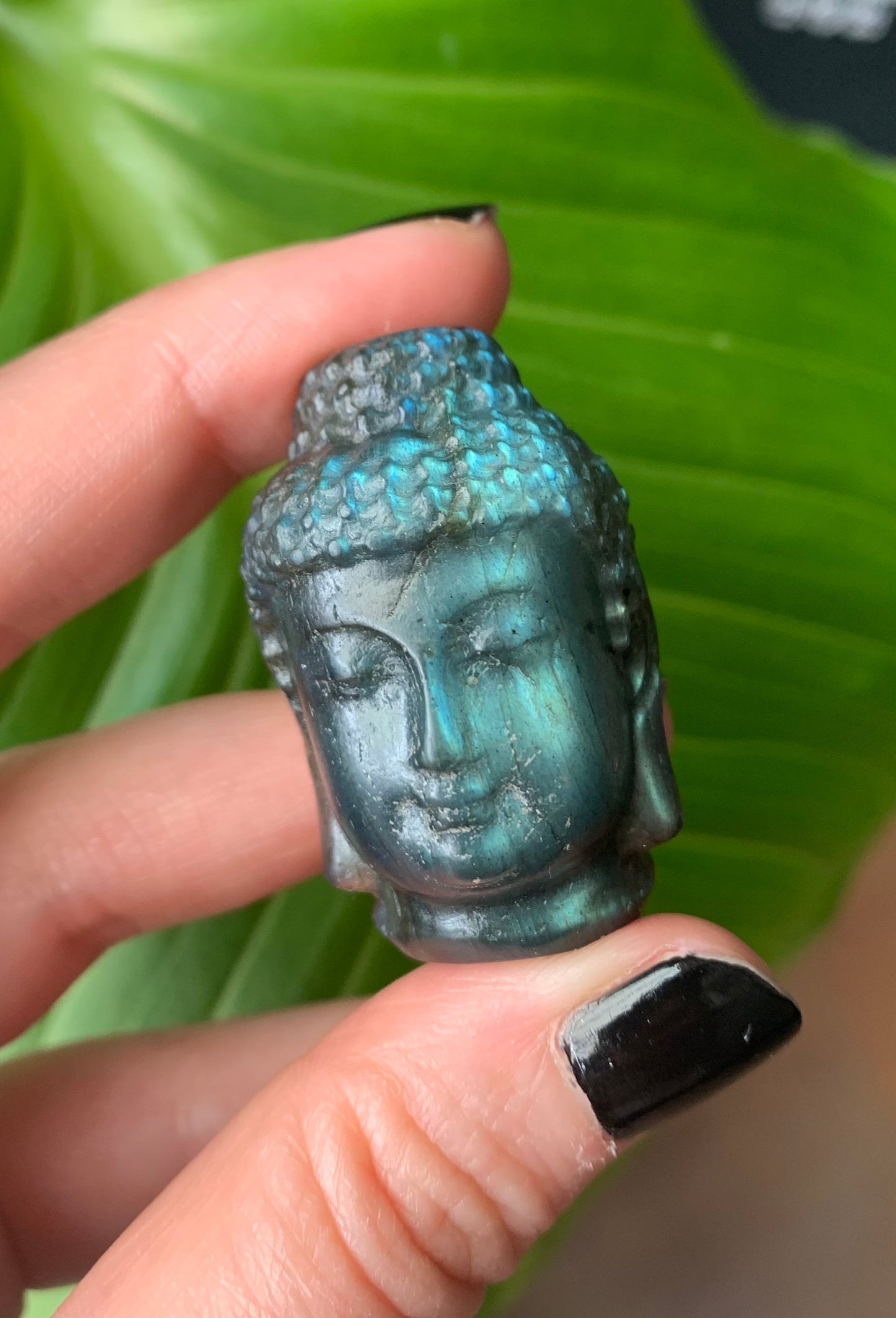 Tête de bouddha labradorite