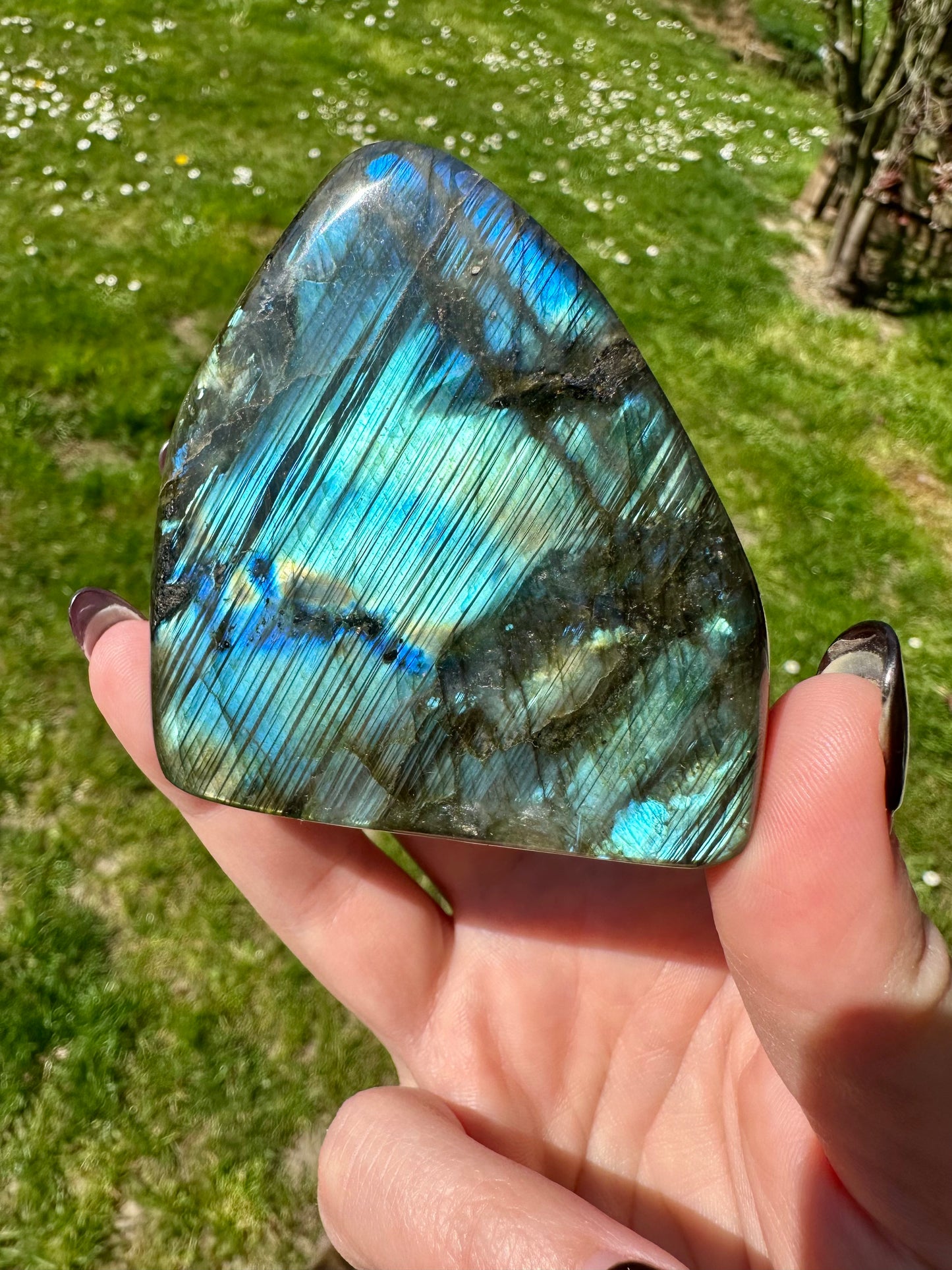 Labradorite