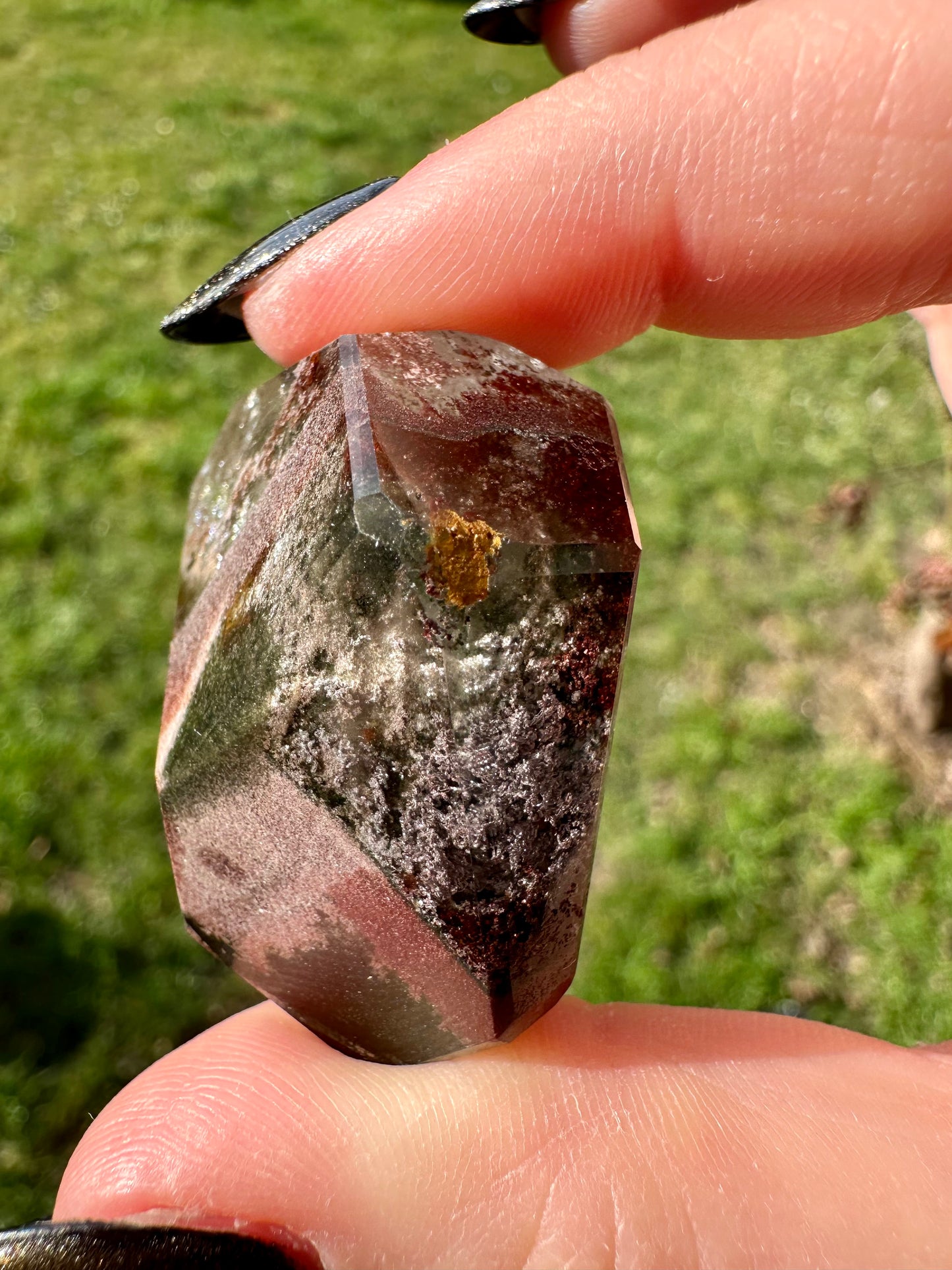 Lodolite / quartz jardin 32