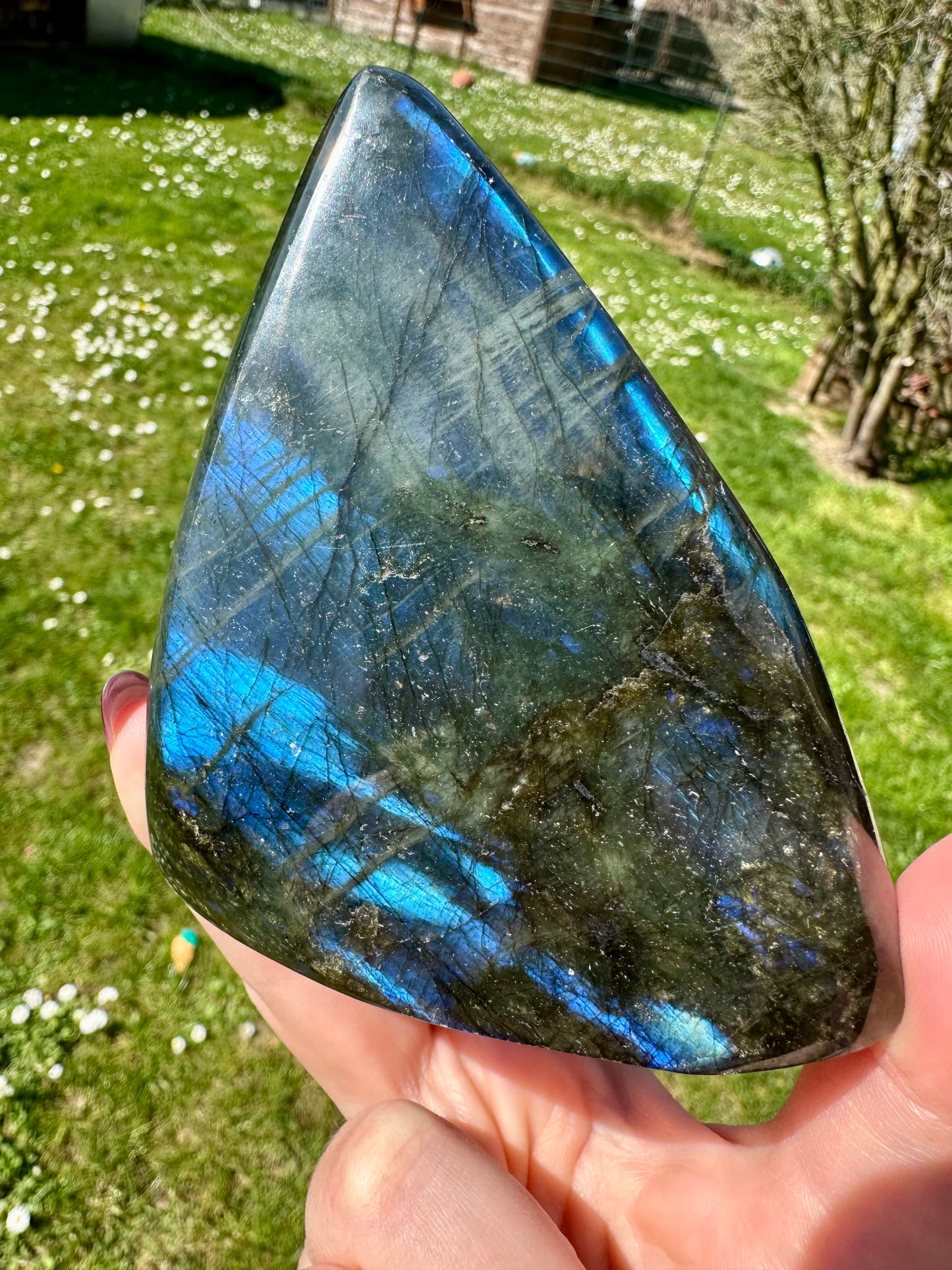 Labradorite