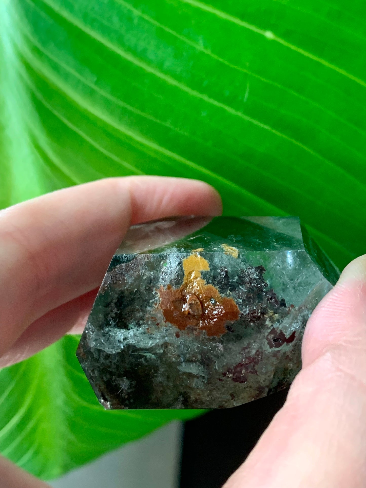 Forme libre quartz jardin / Lodolite