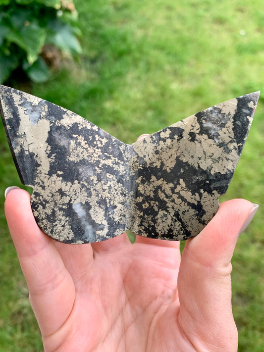 Papillon pyrite 1