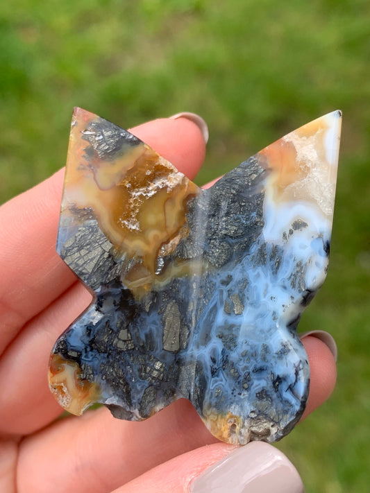 Papillon agate marcassite