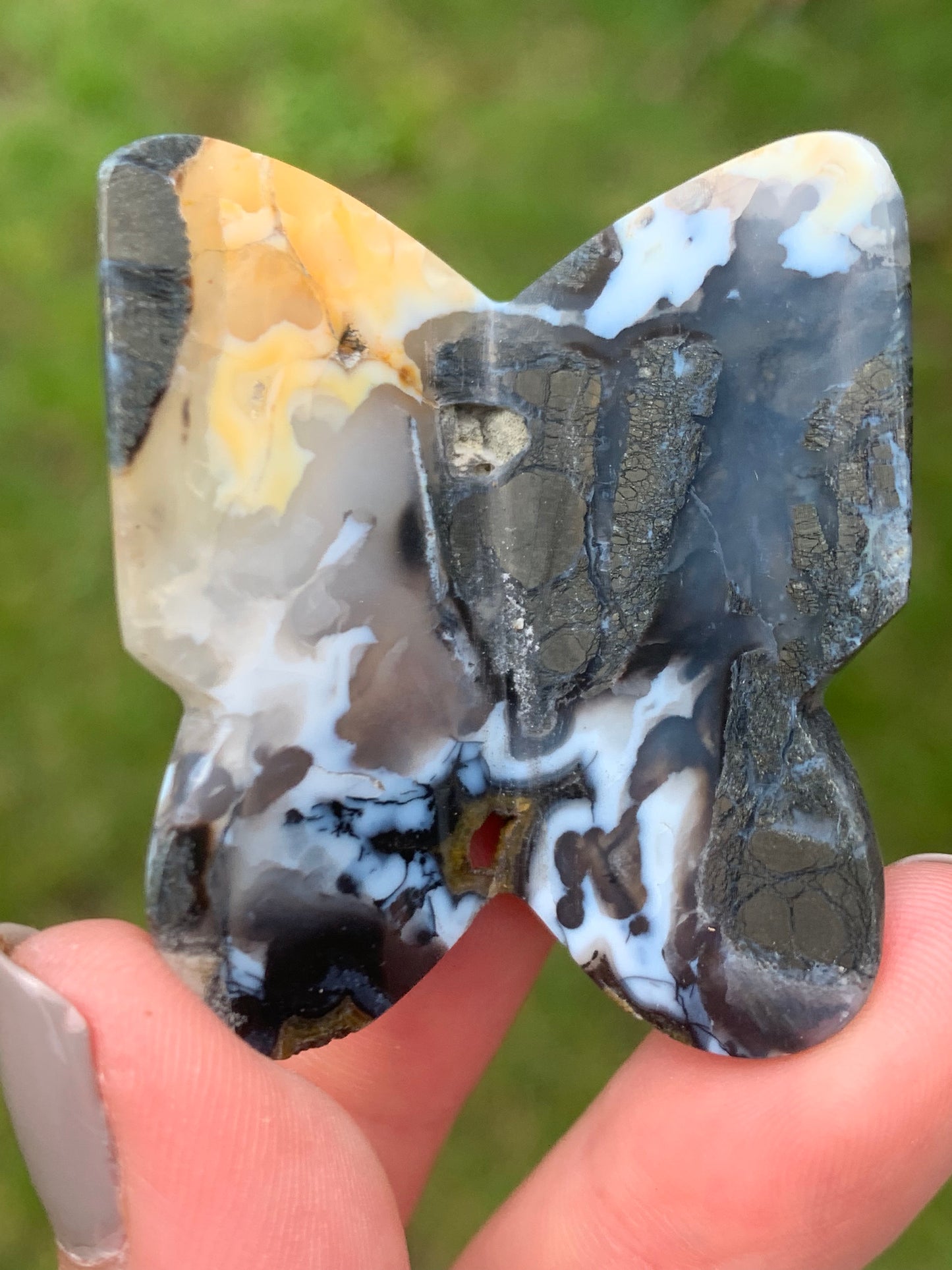 Papillon agate marcassite