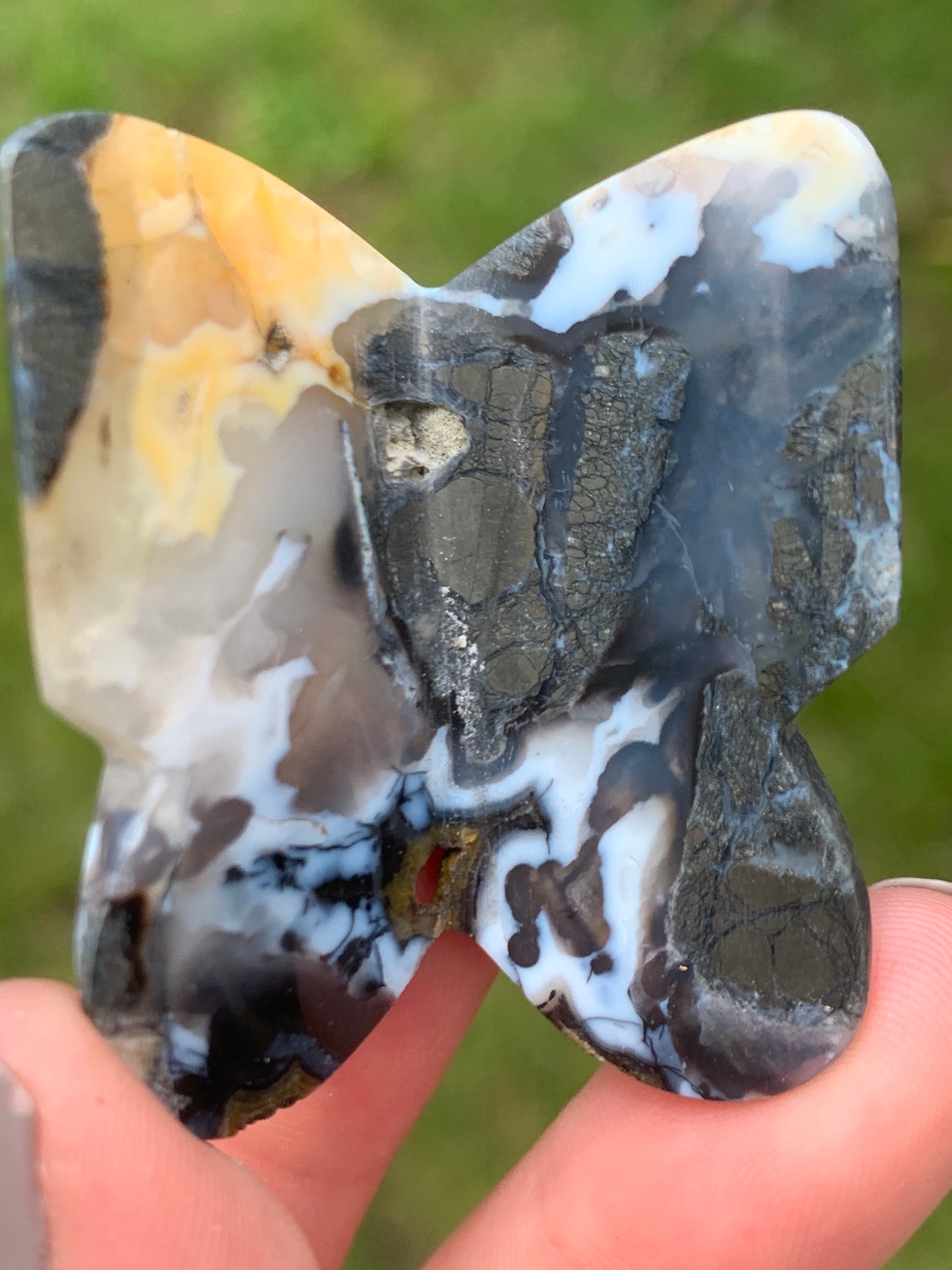 Papillon agate marcassite