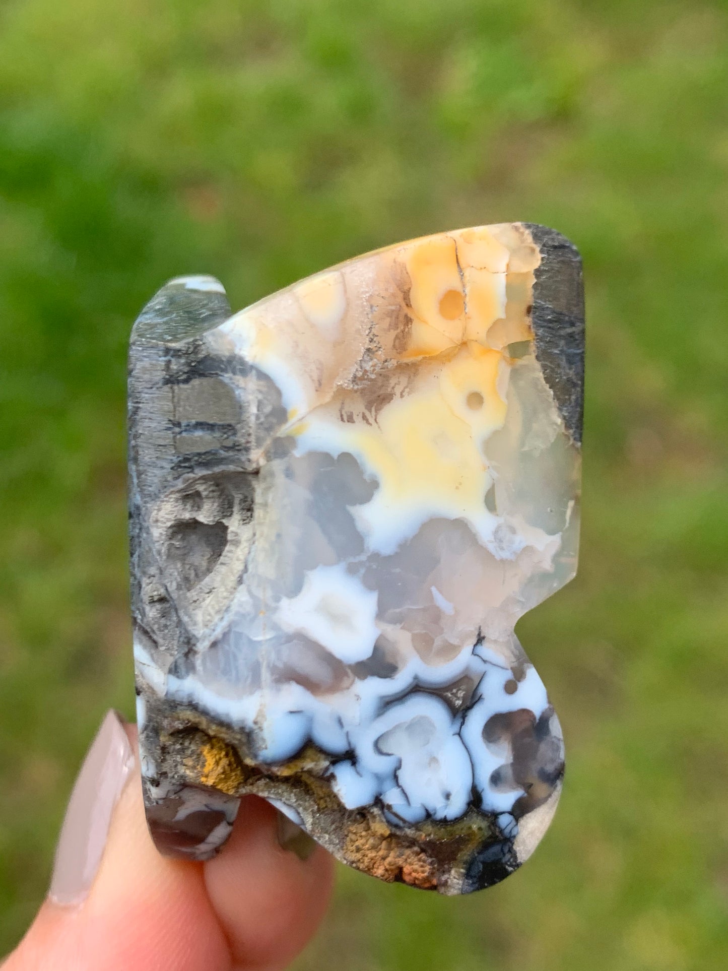 Papillon agate marcassite