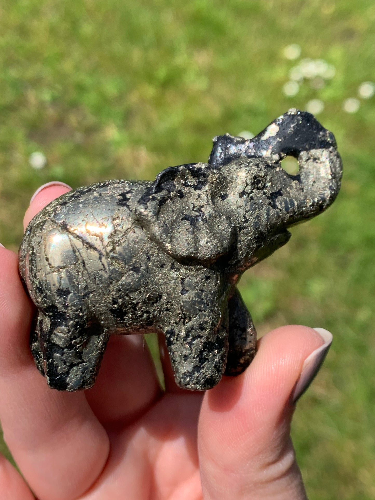 Éléphant pyrite