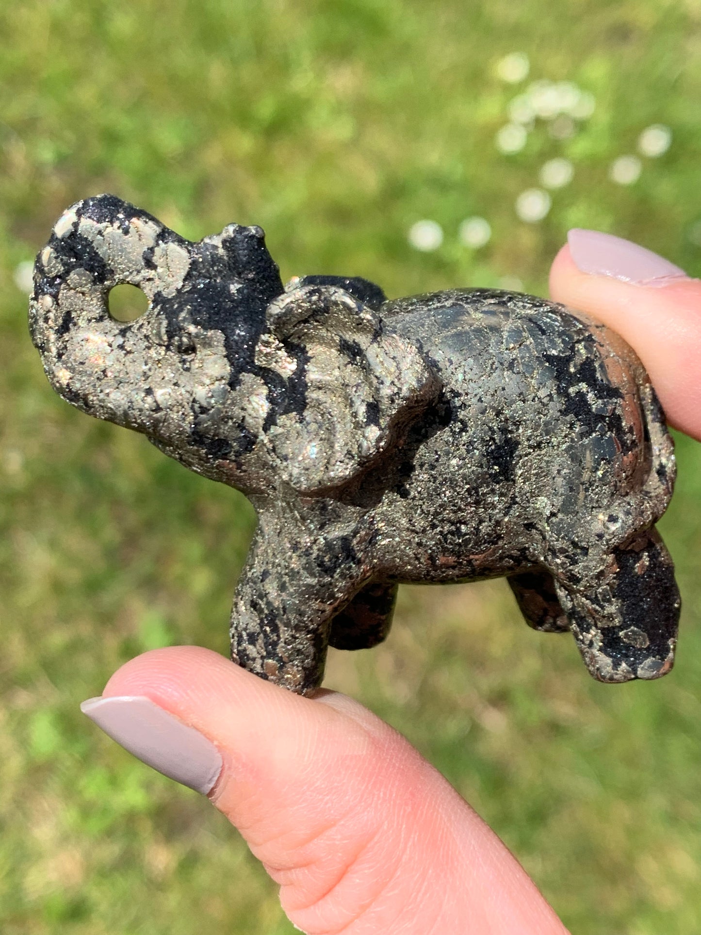 Éléphant pyrite