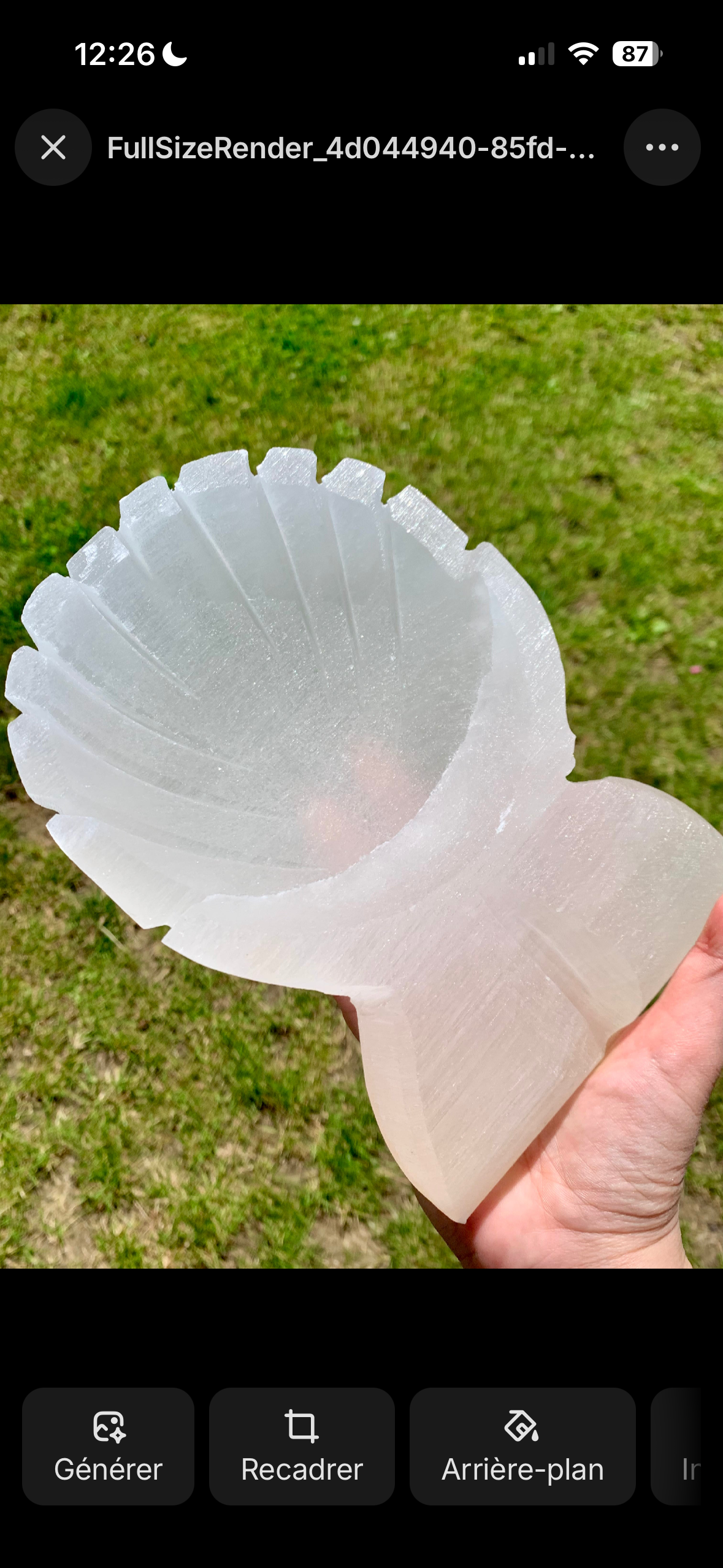 Lot réservé Priscilla