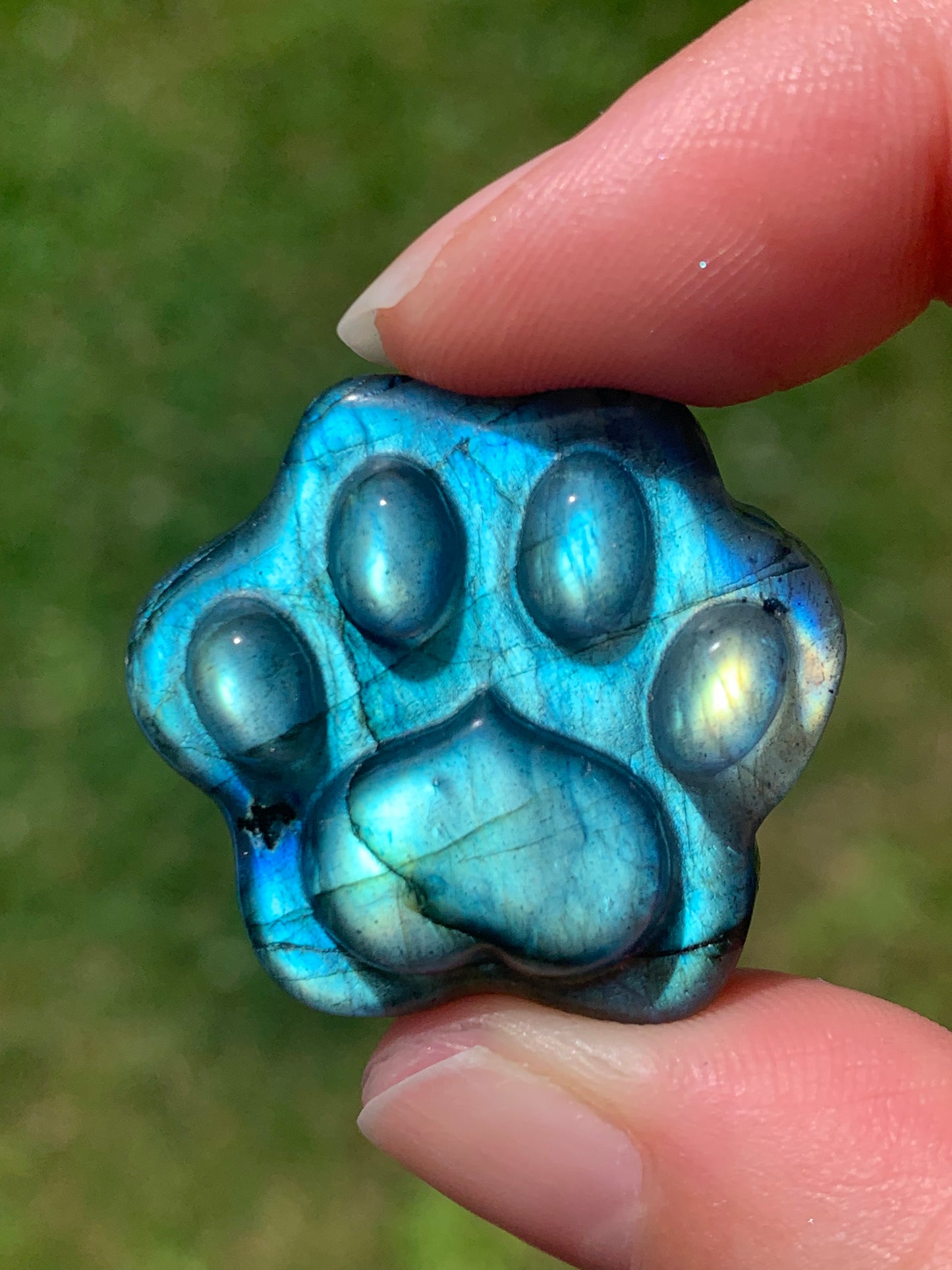 Patte de chat en labradorite