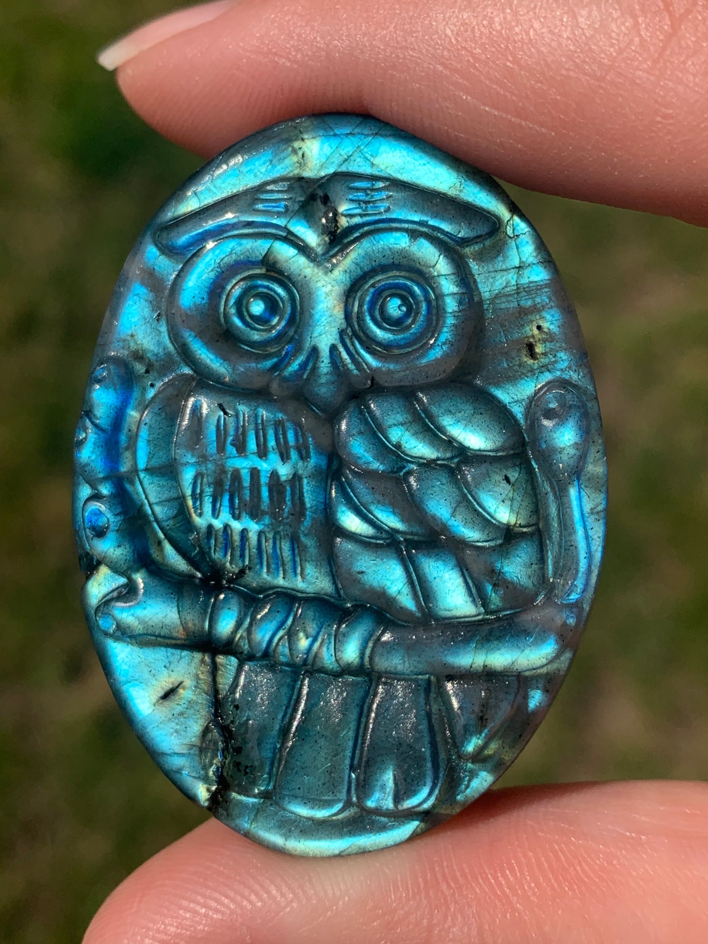 Hibou labradorite