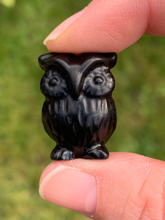 Hibou obsidienne noire