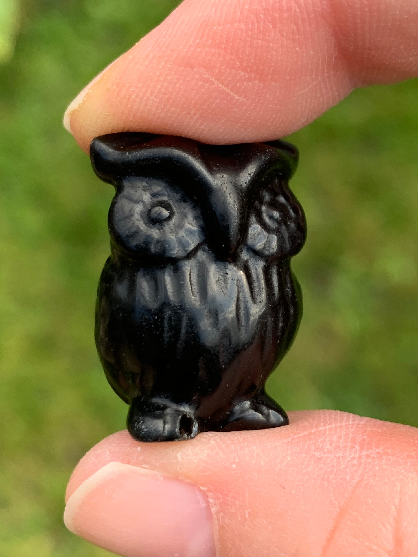 Hibou obsidienne noire