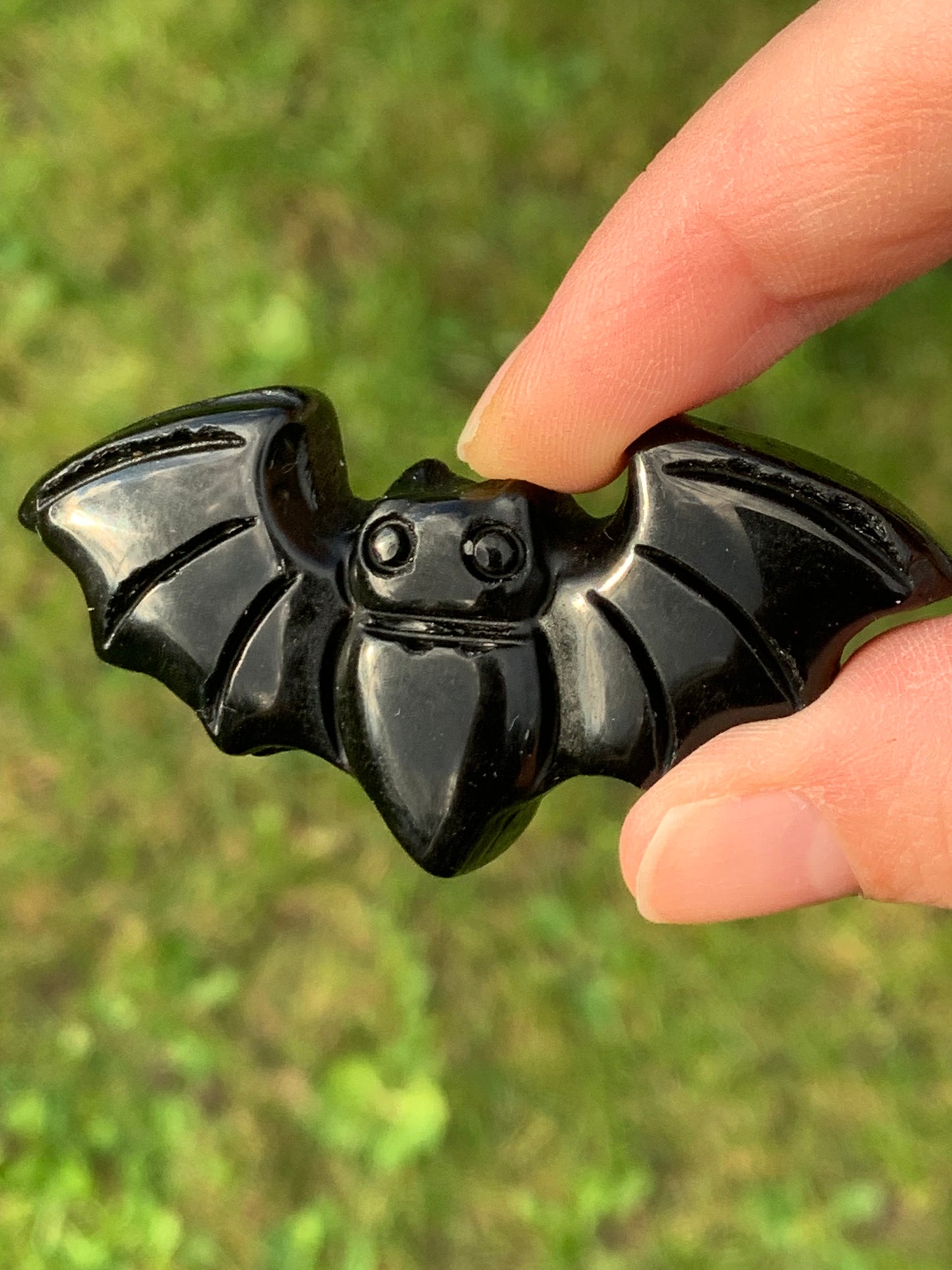 Chauve souris obsidienne noire