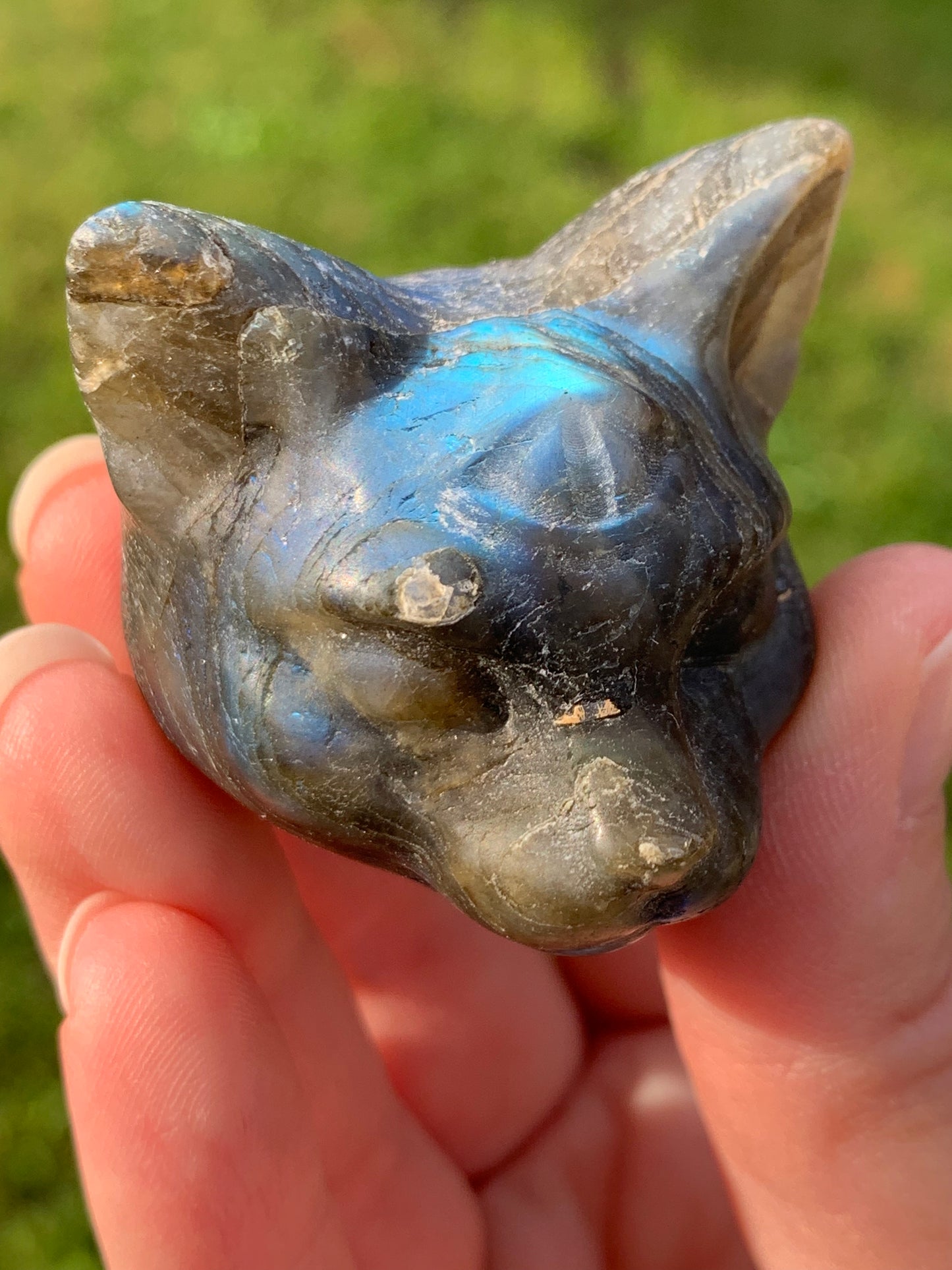 Tête chat mystique labradorite