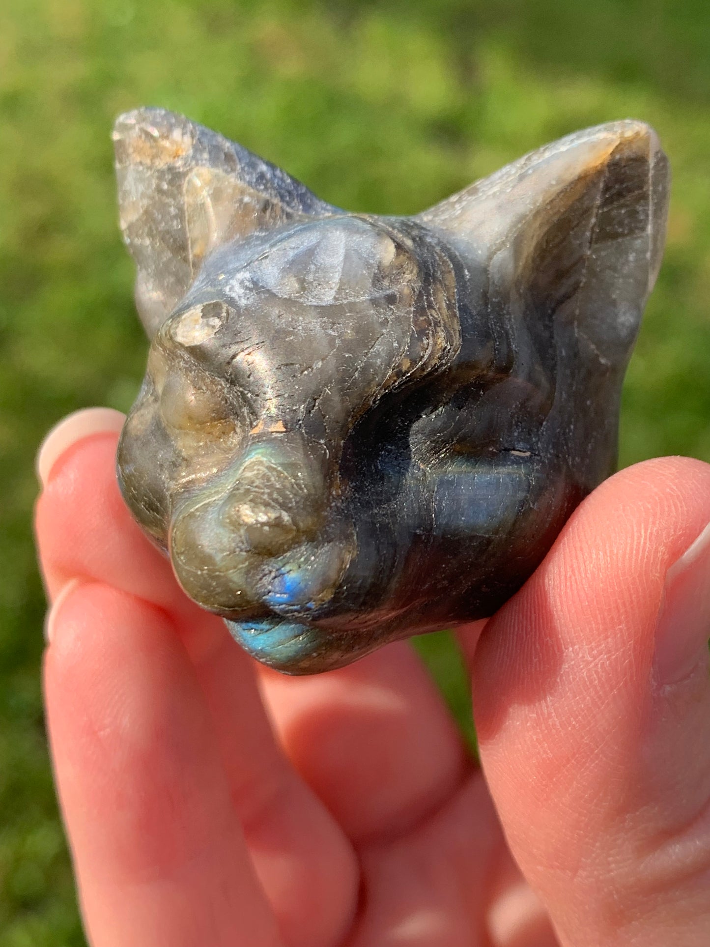 Tête chat mystique labradorite