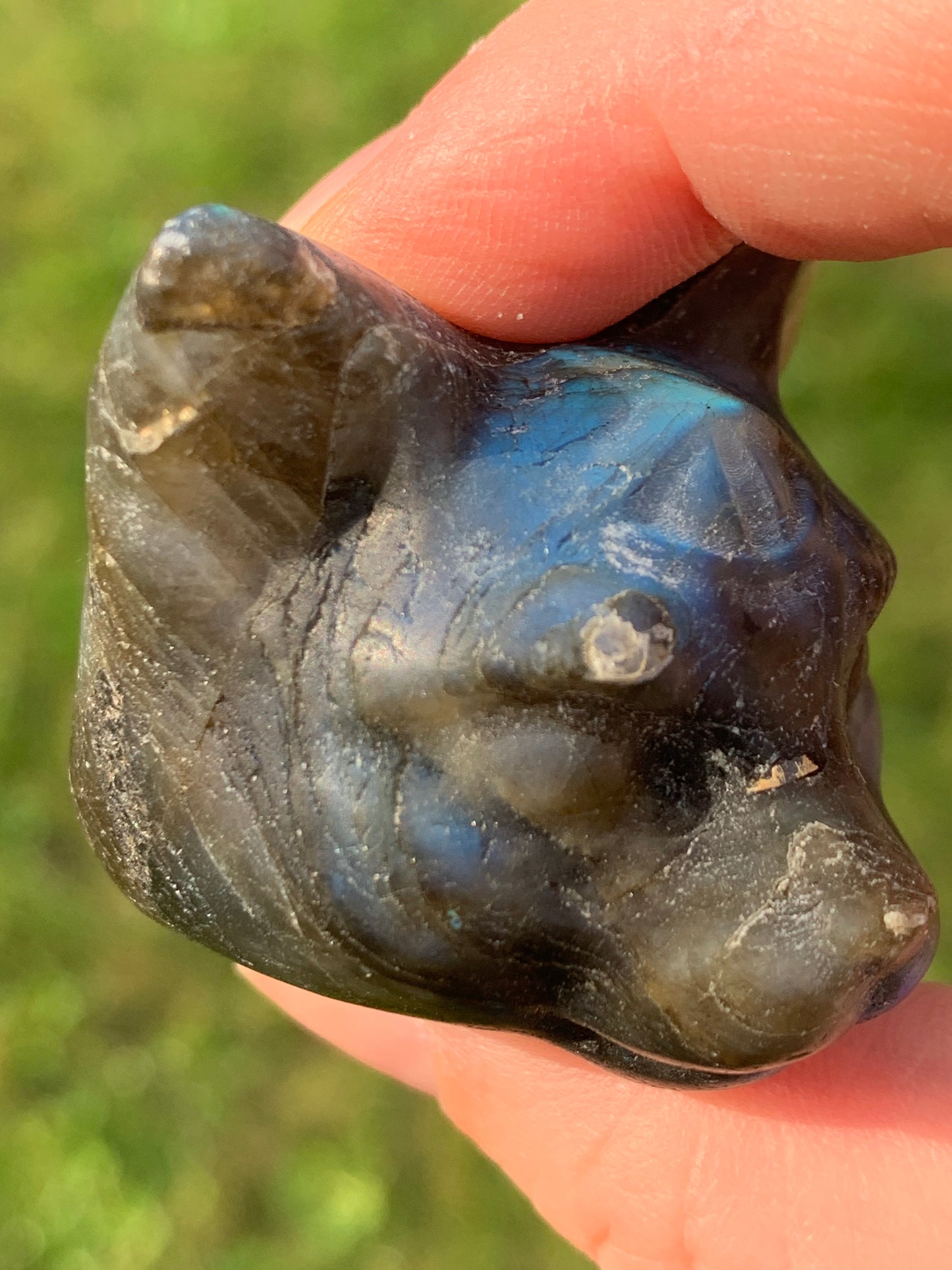 Tête chat mystique labradorite