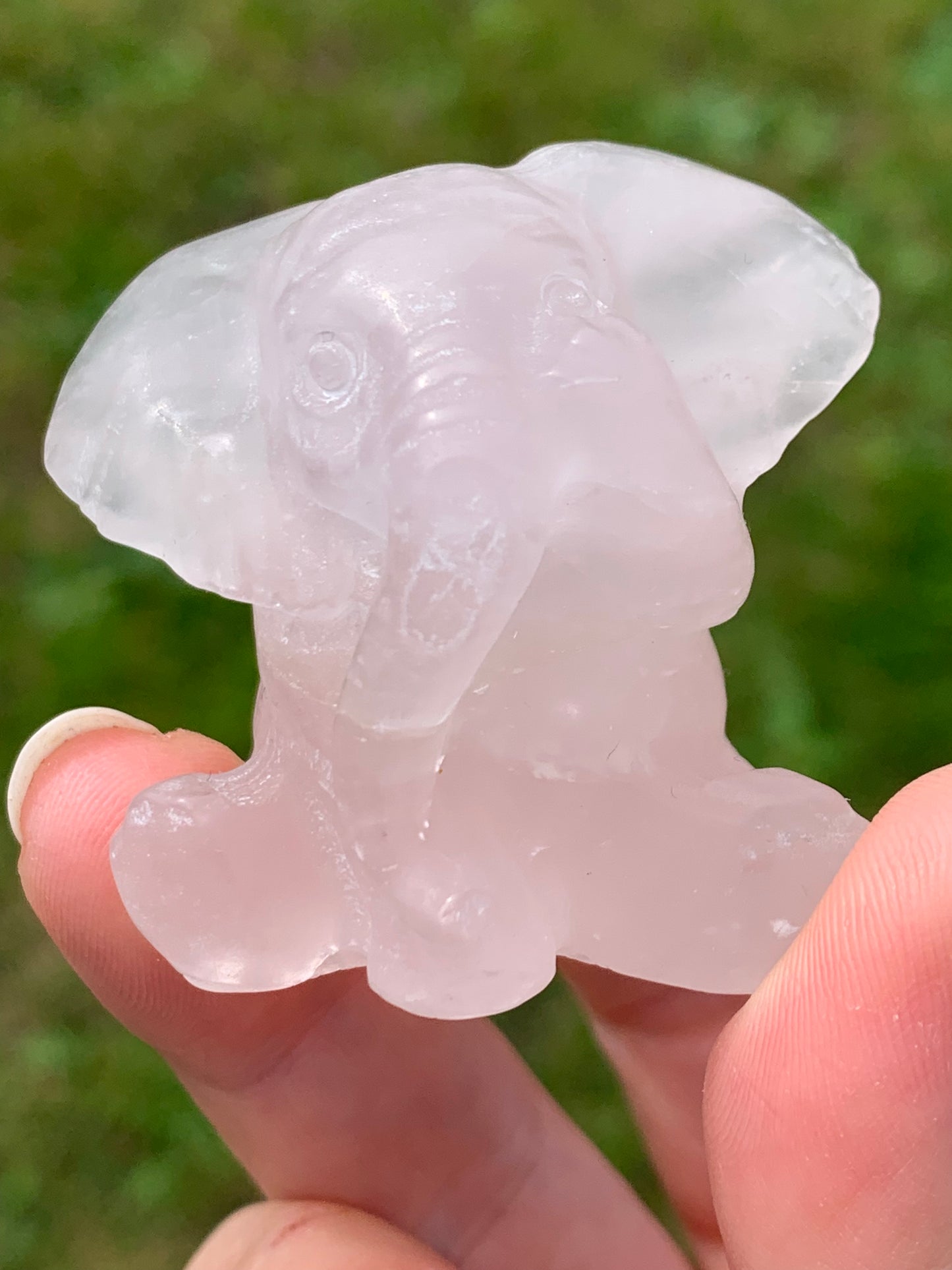 Elephant quartz rose