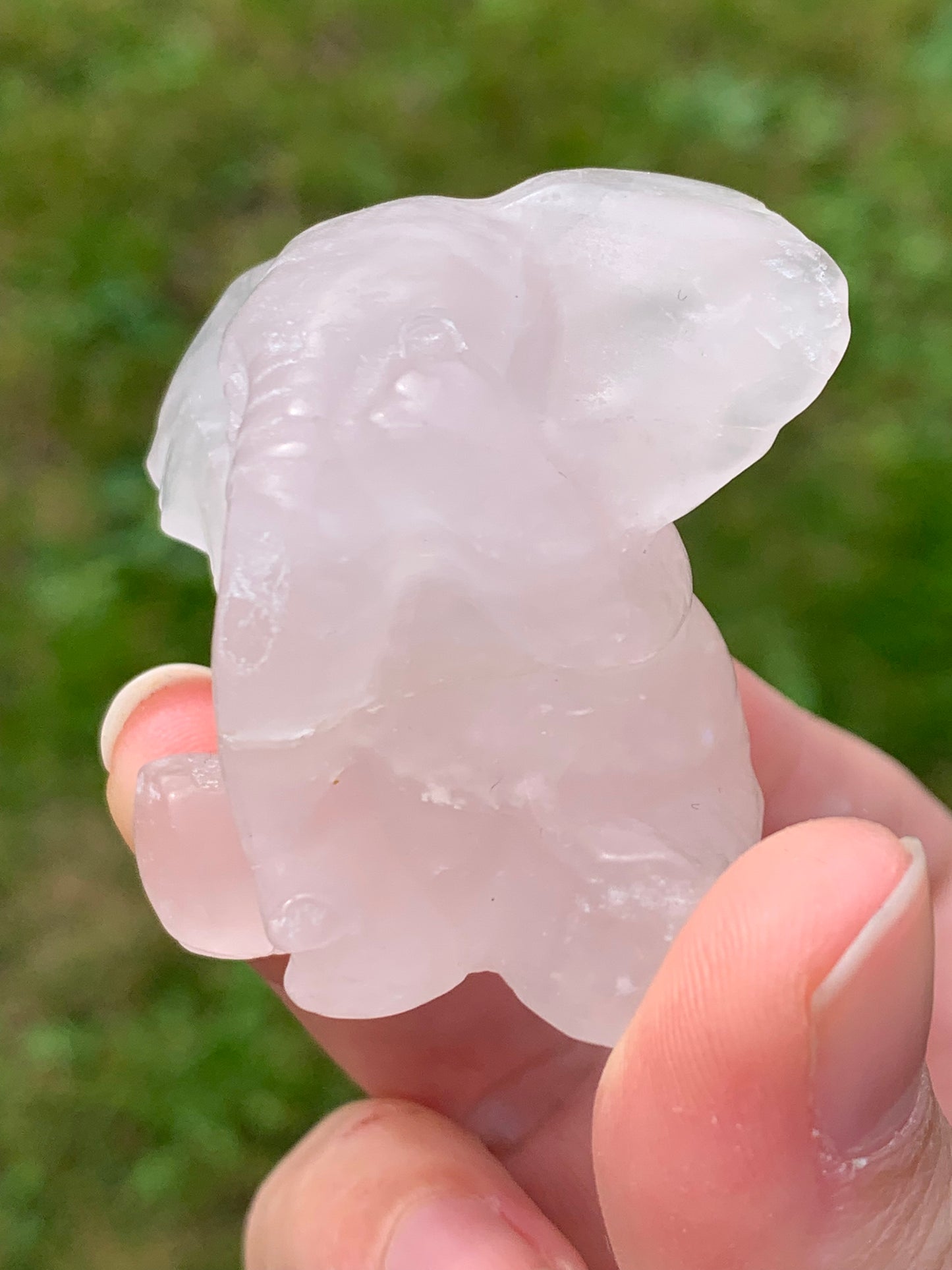 Elephant quartz rose