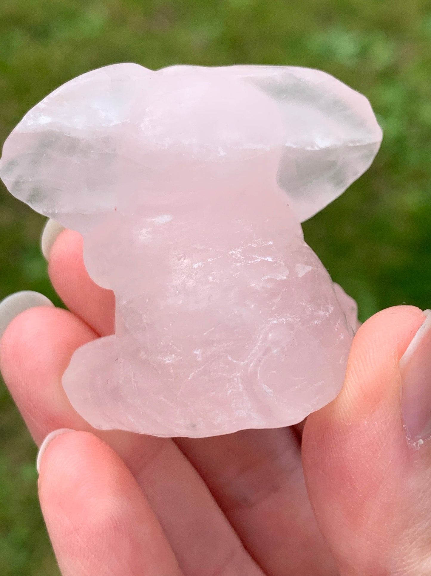 Elephant quartz rose