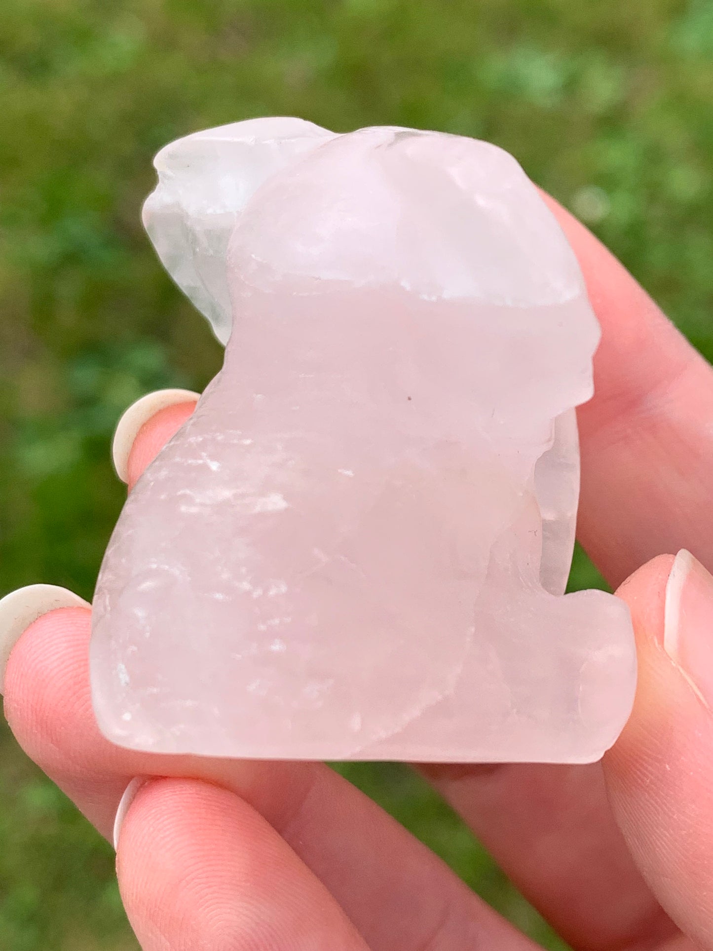 Elephant quartz rose