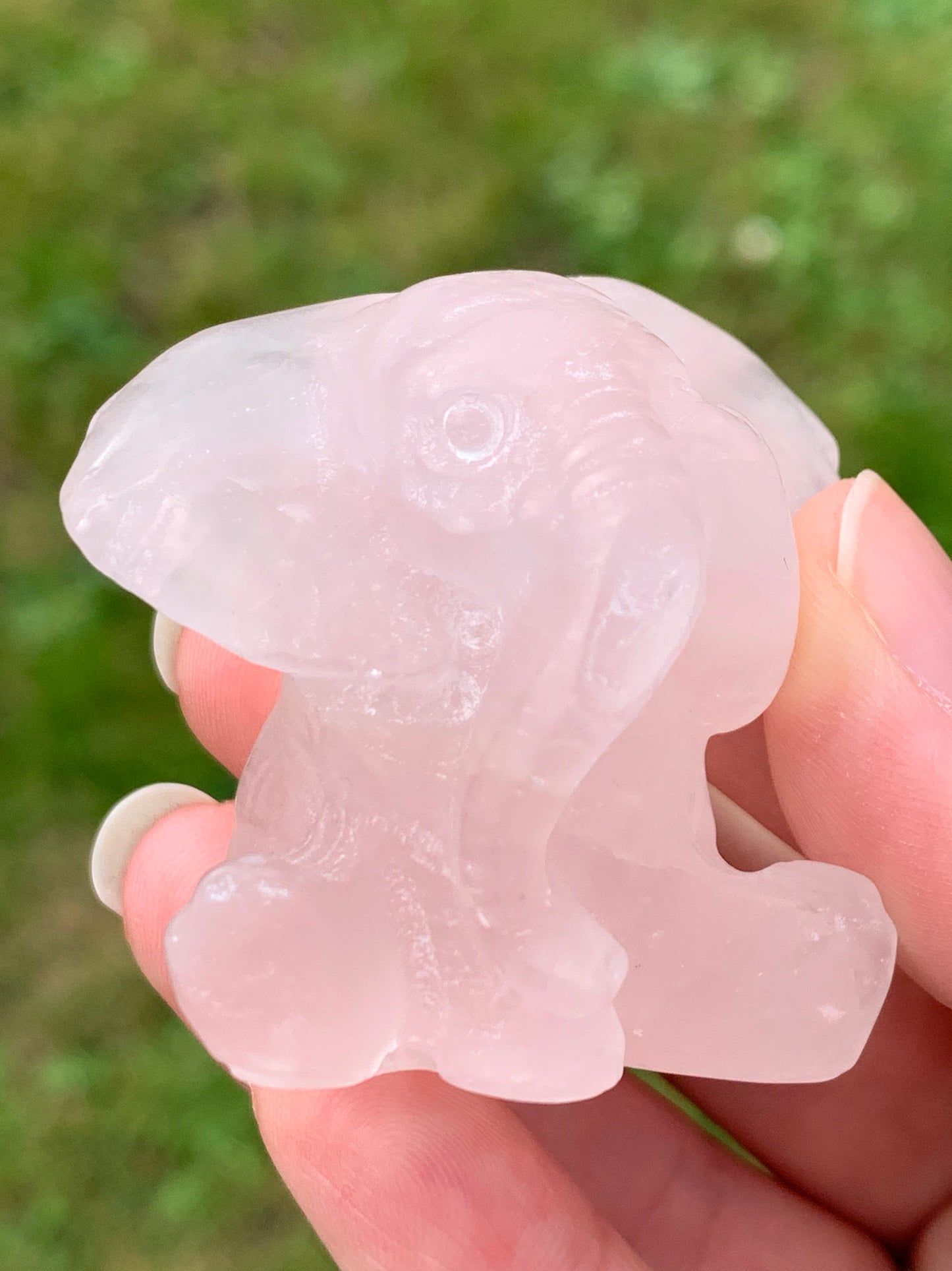 Elephant quartz rose