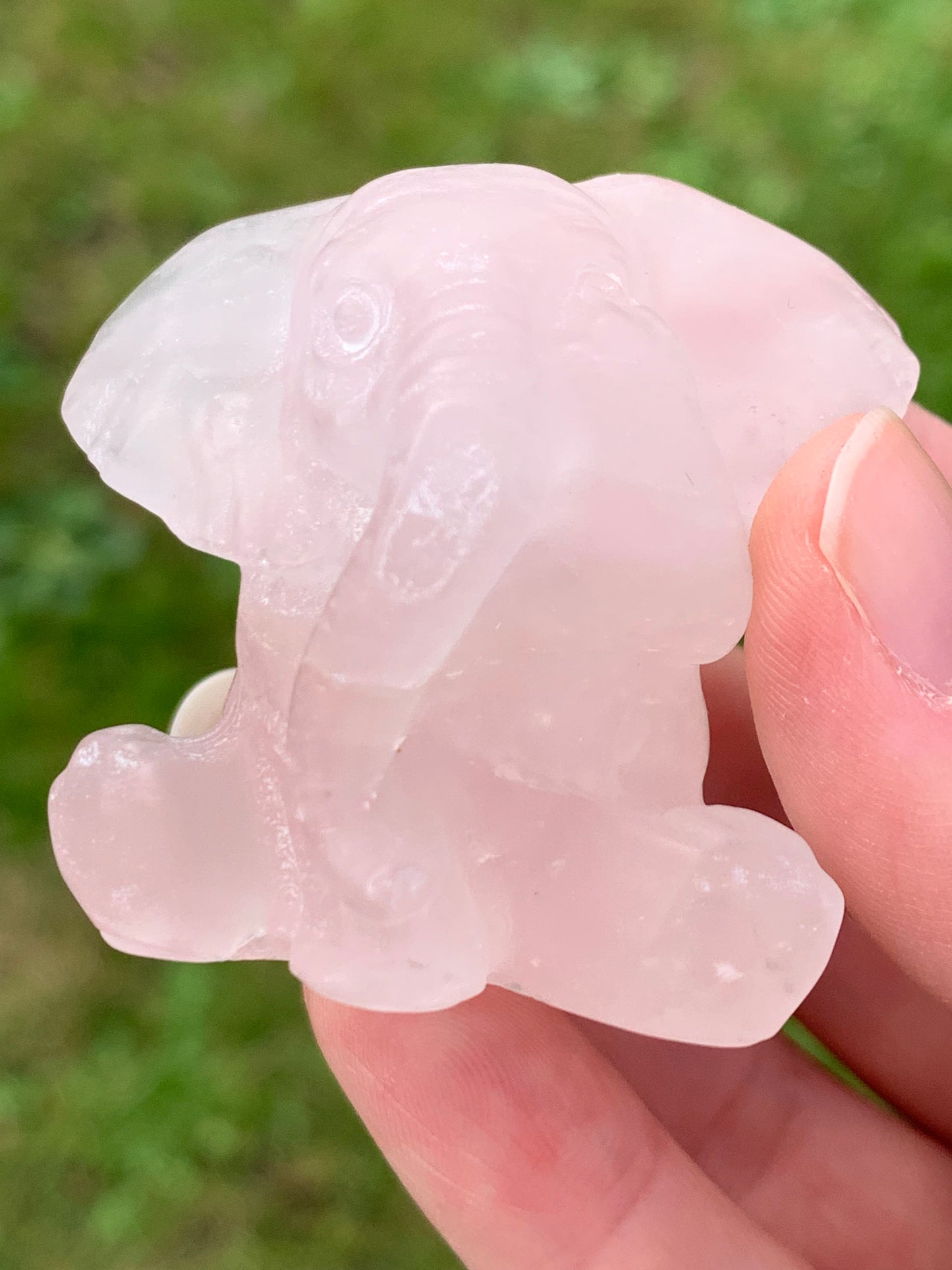 Elephant quartz rose