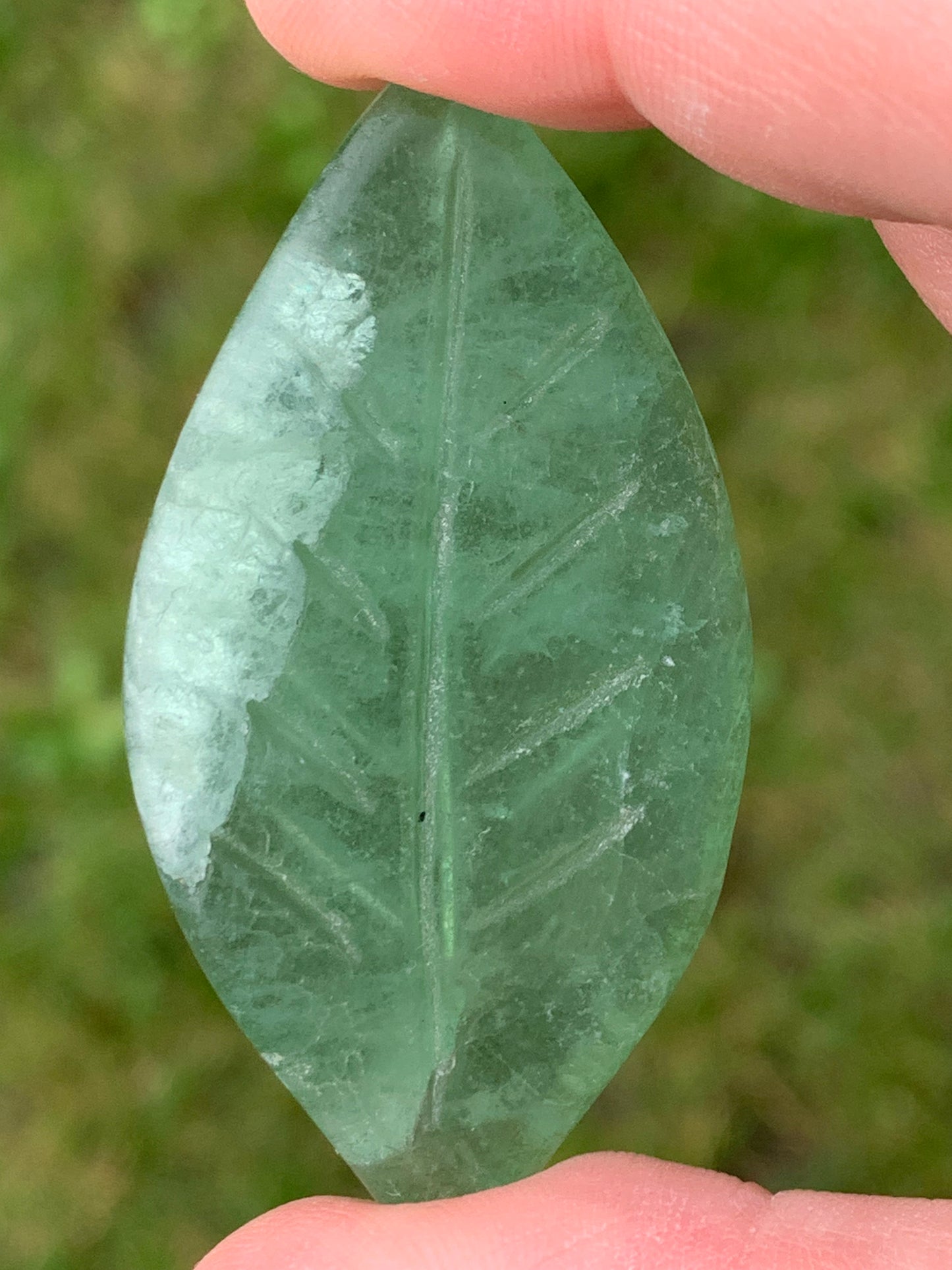 Feuille fluorite verte