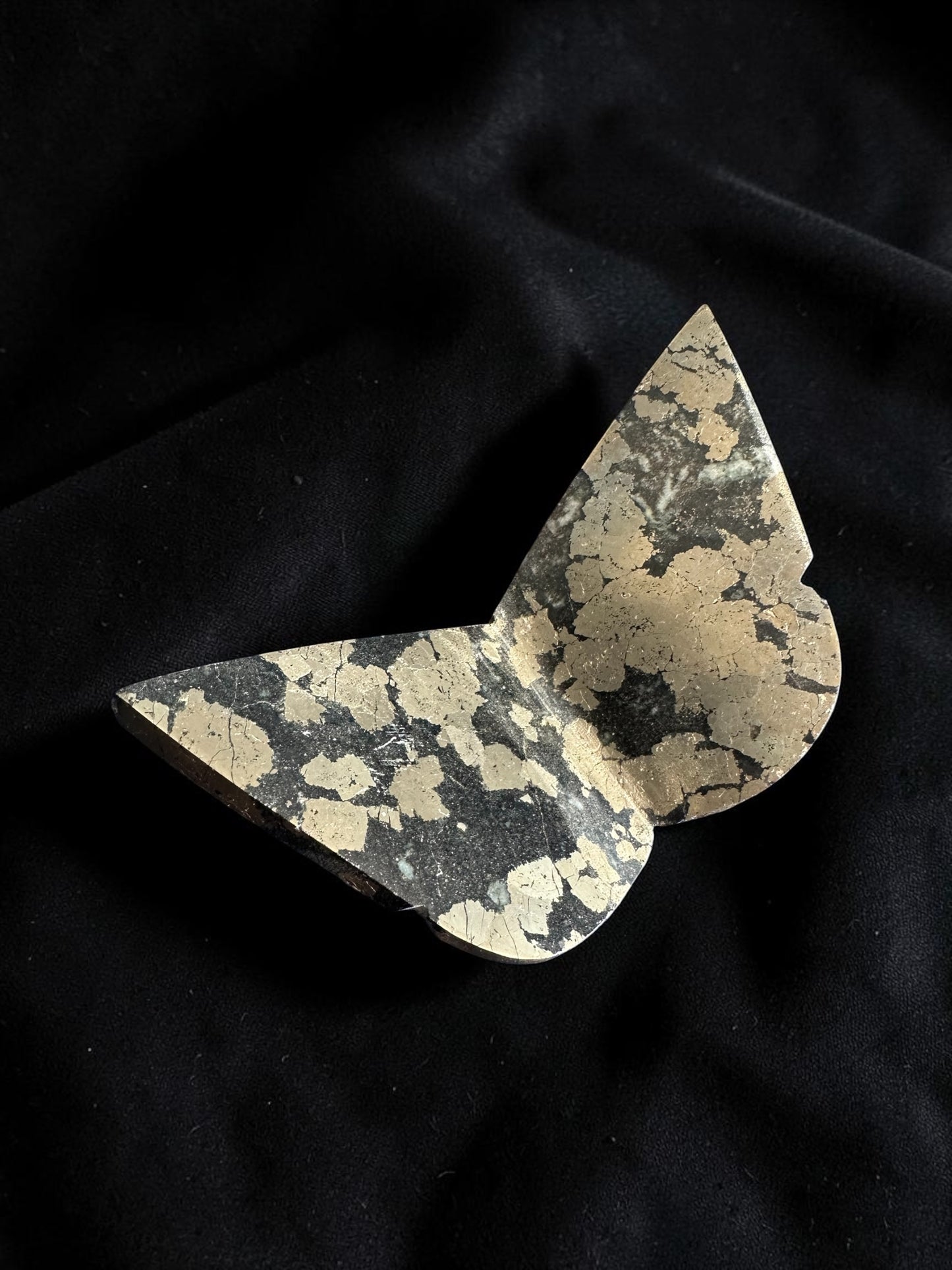 Papillon pyrite 62