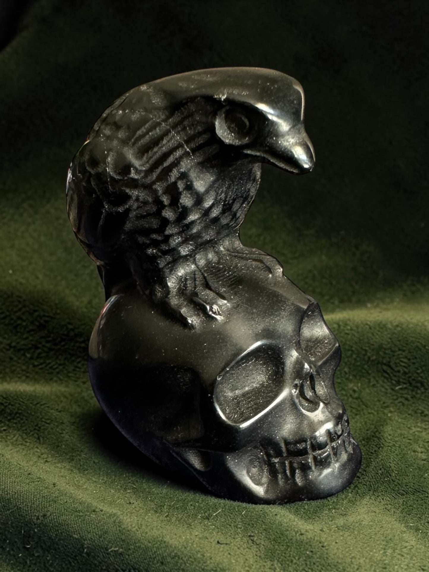 Crâne corbeau obsidienne