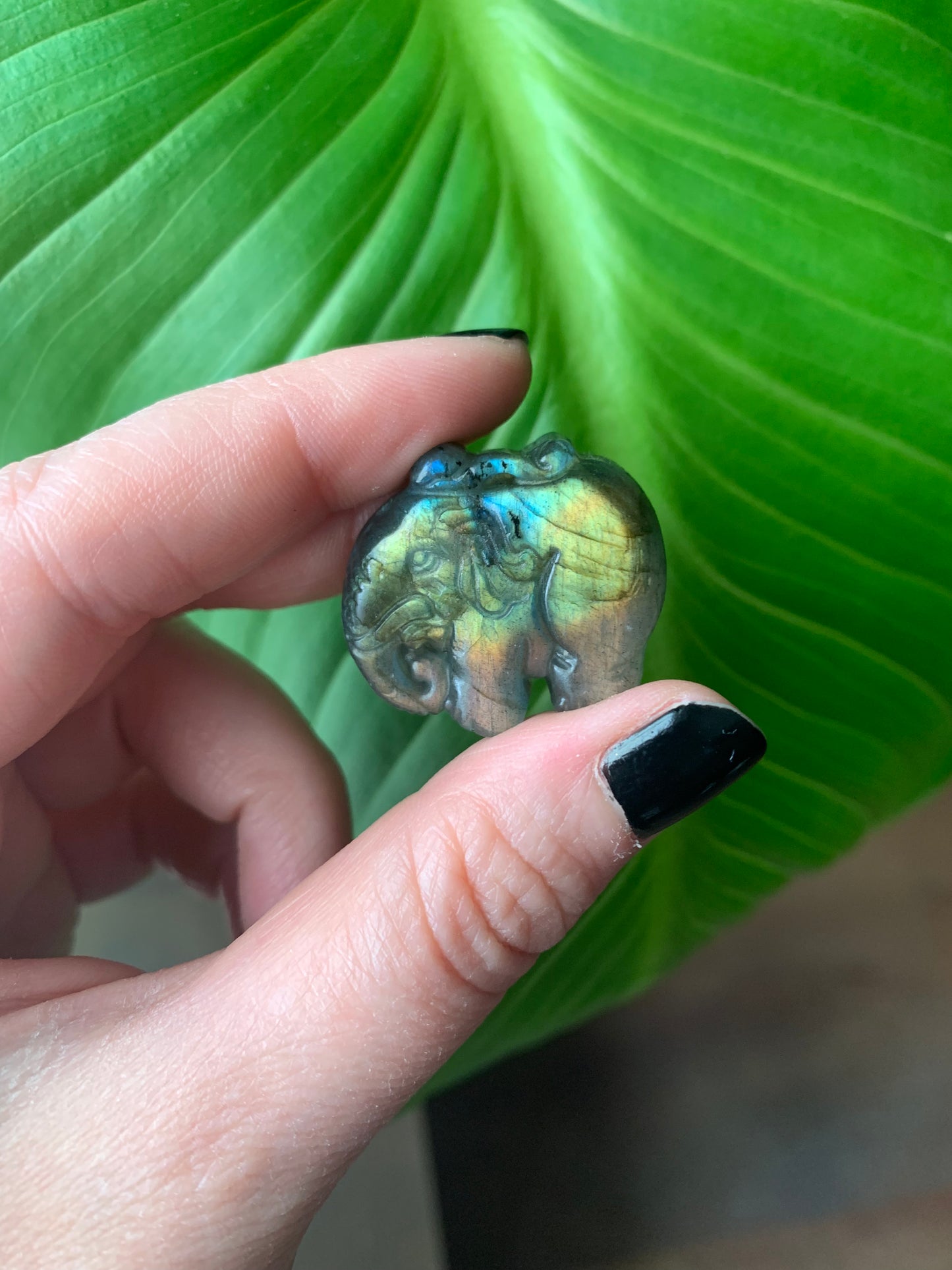 Éléphant en labradorite 1