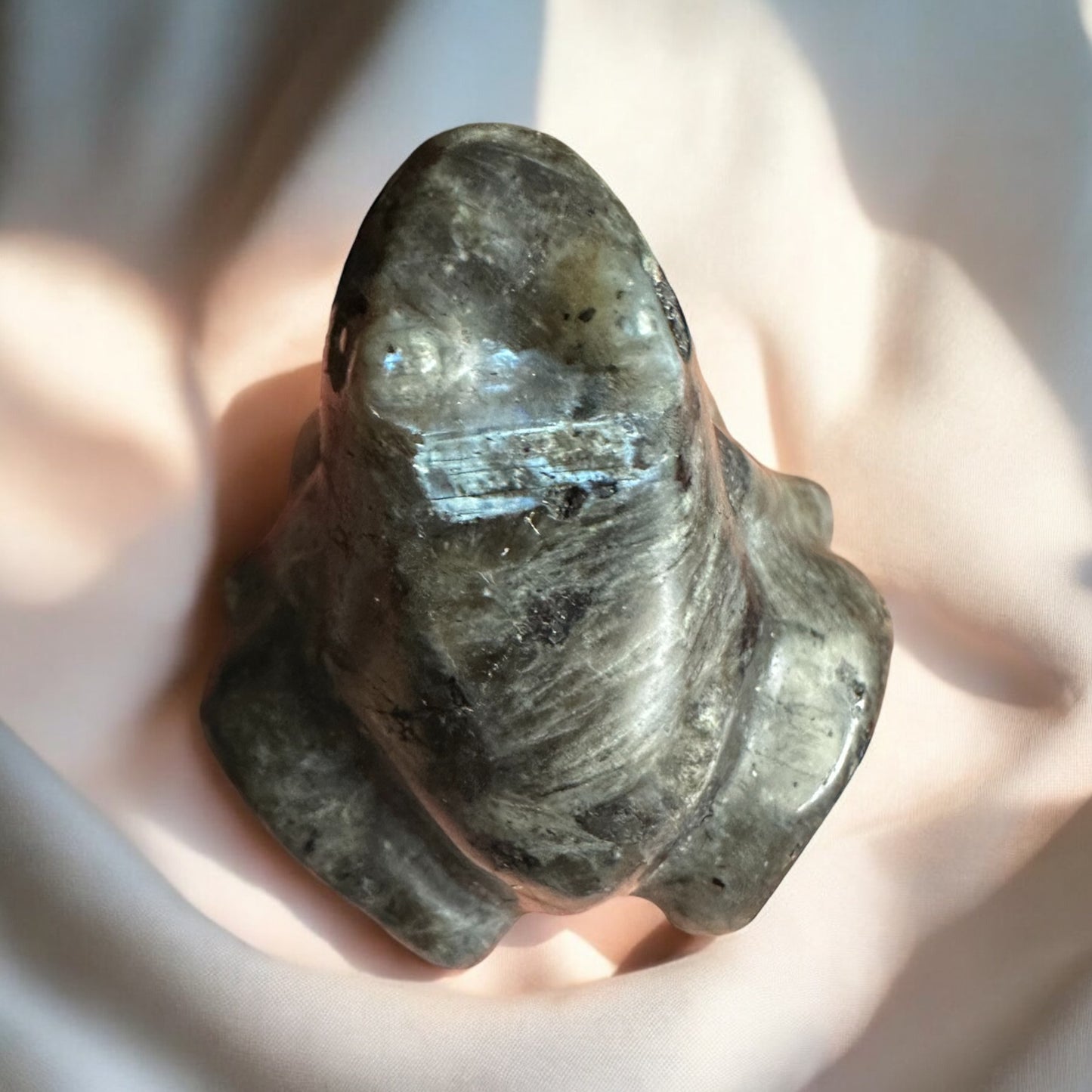 Larvikite Frog