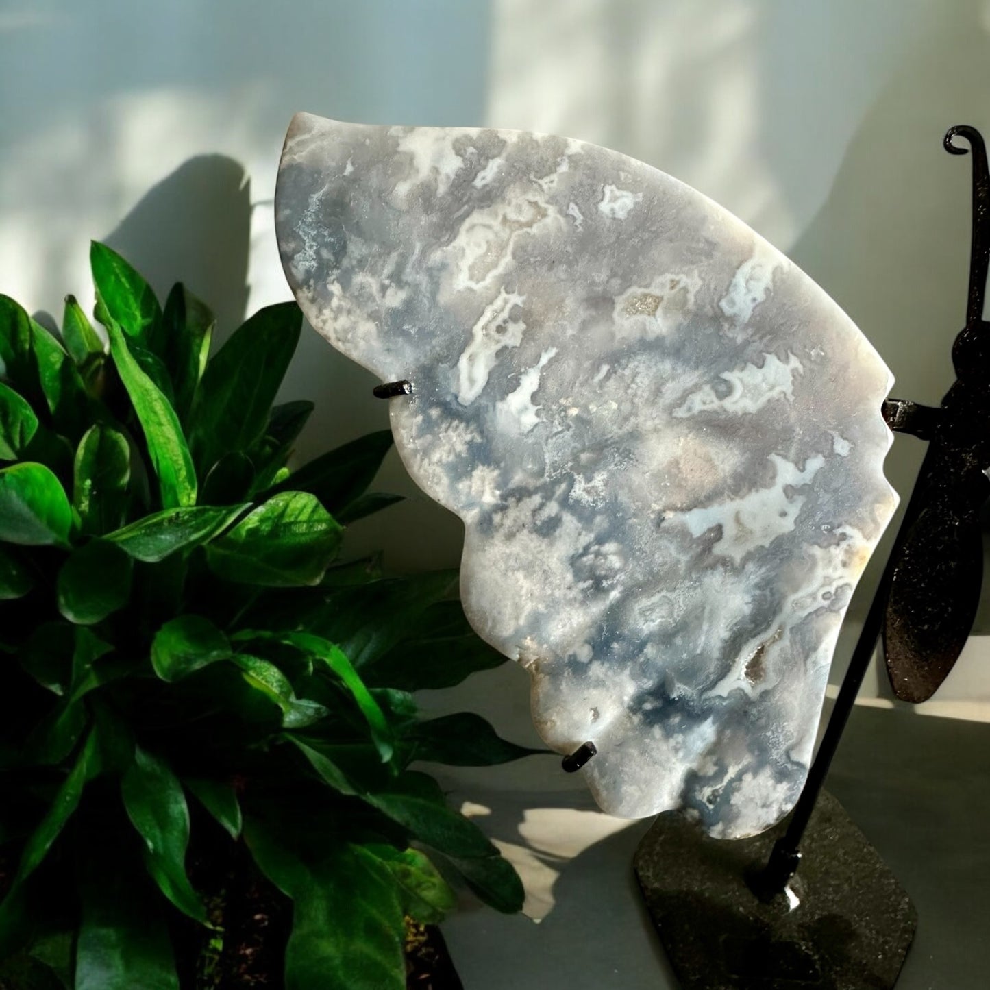 Blue feather agate butterfly