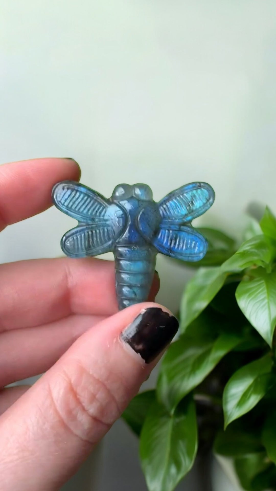 Labradorite dragonfly