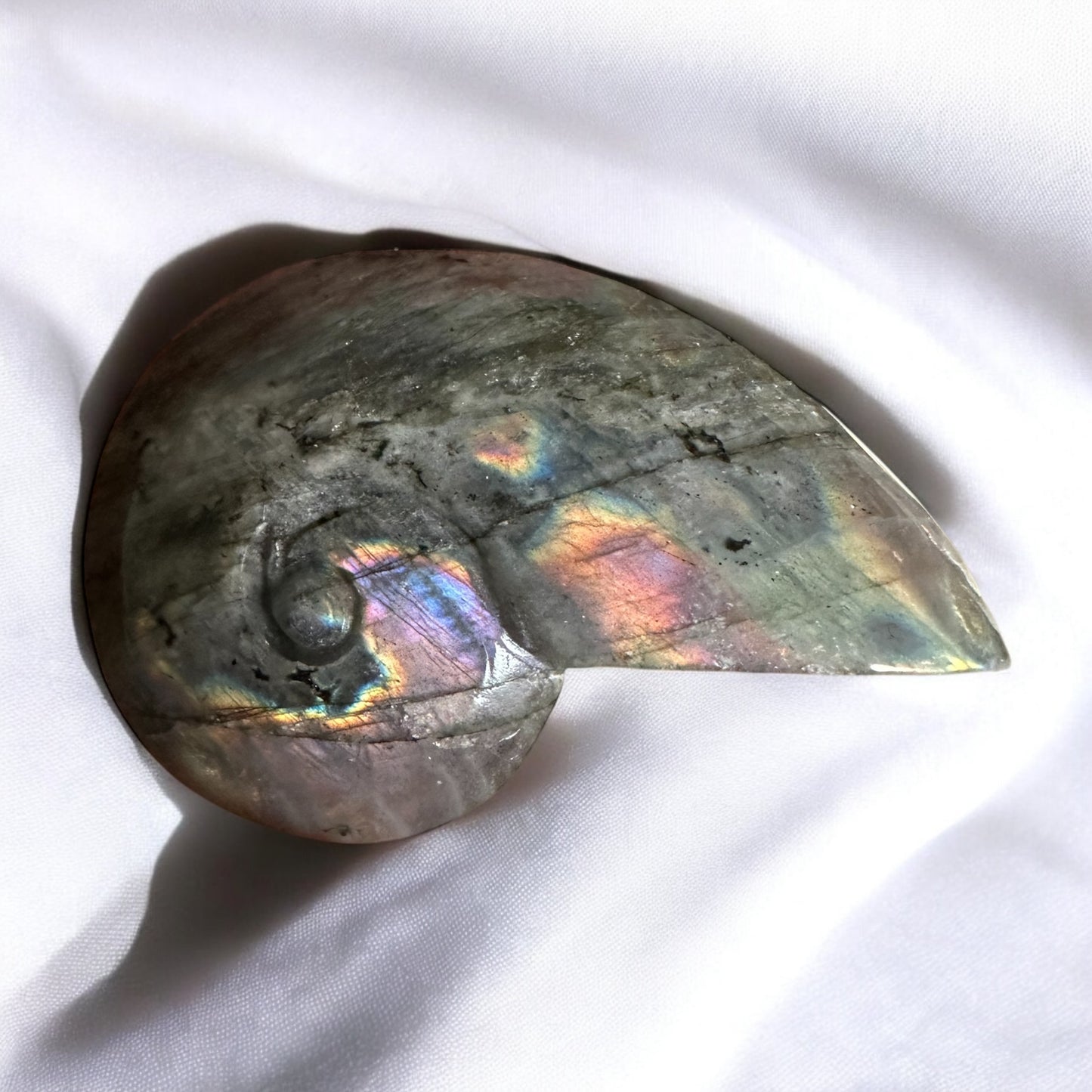 Labradorite snail