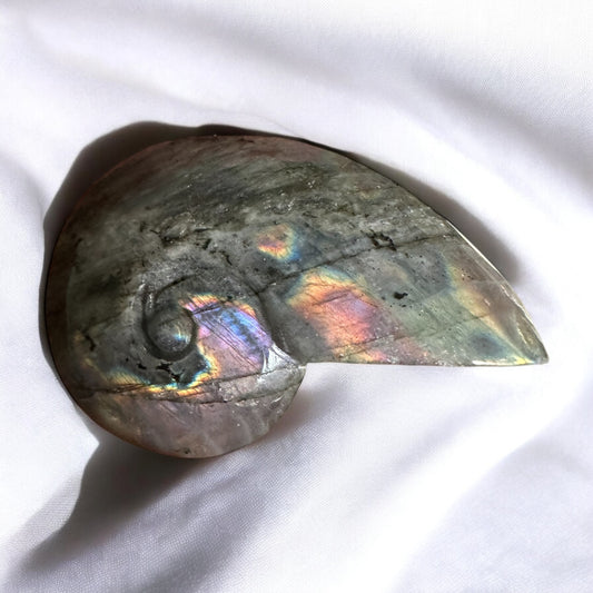 Escargot labradorite