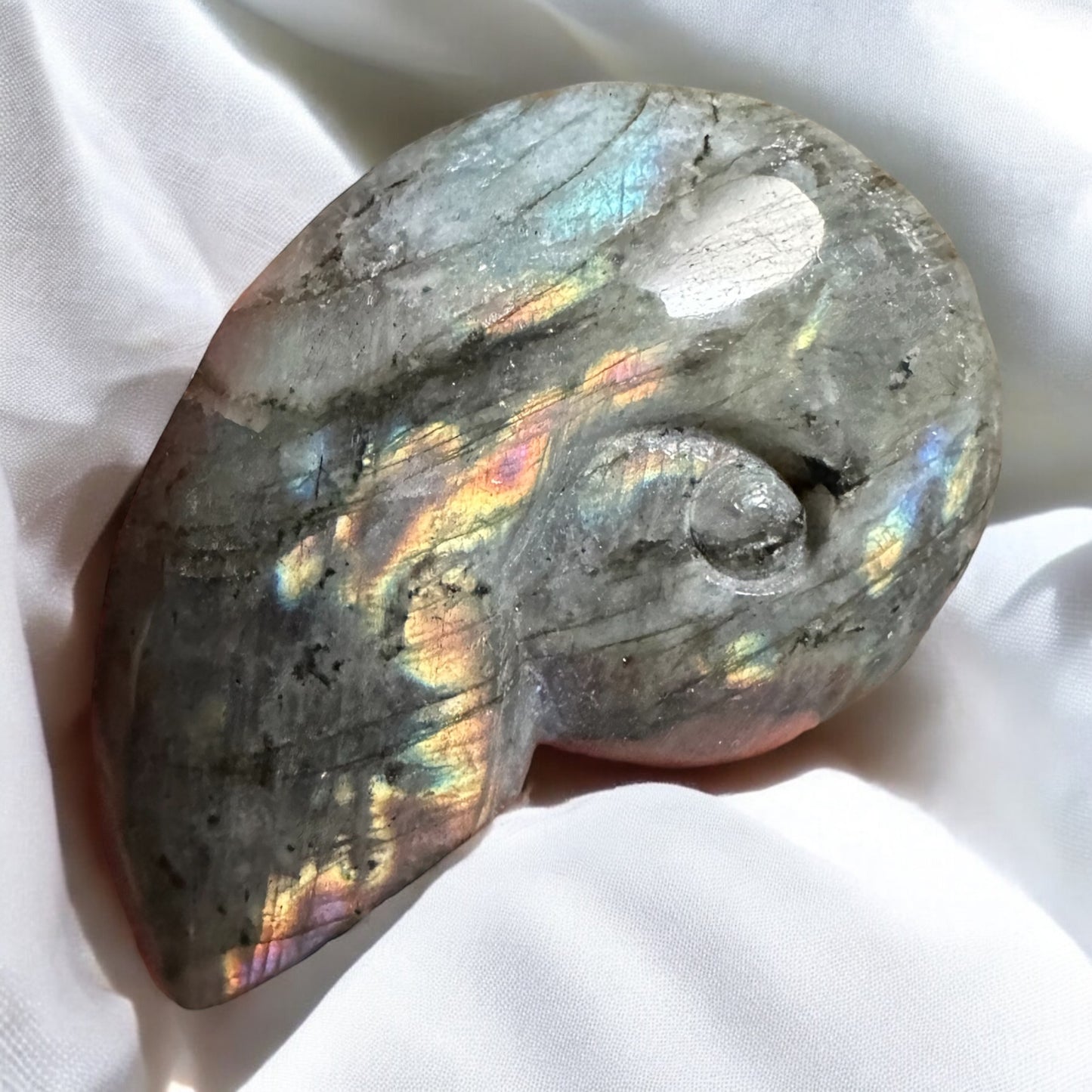 Labradorite snail