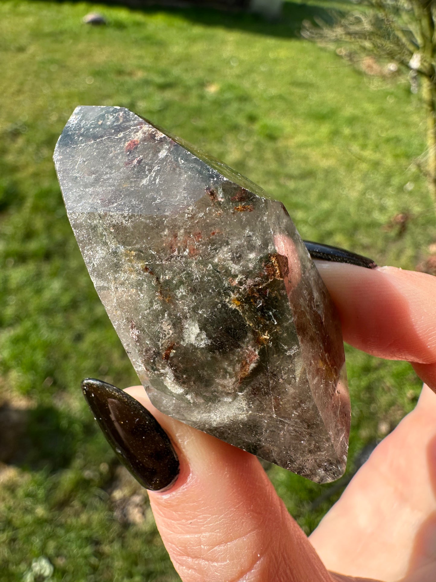 Lodolite / quartz jardin