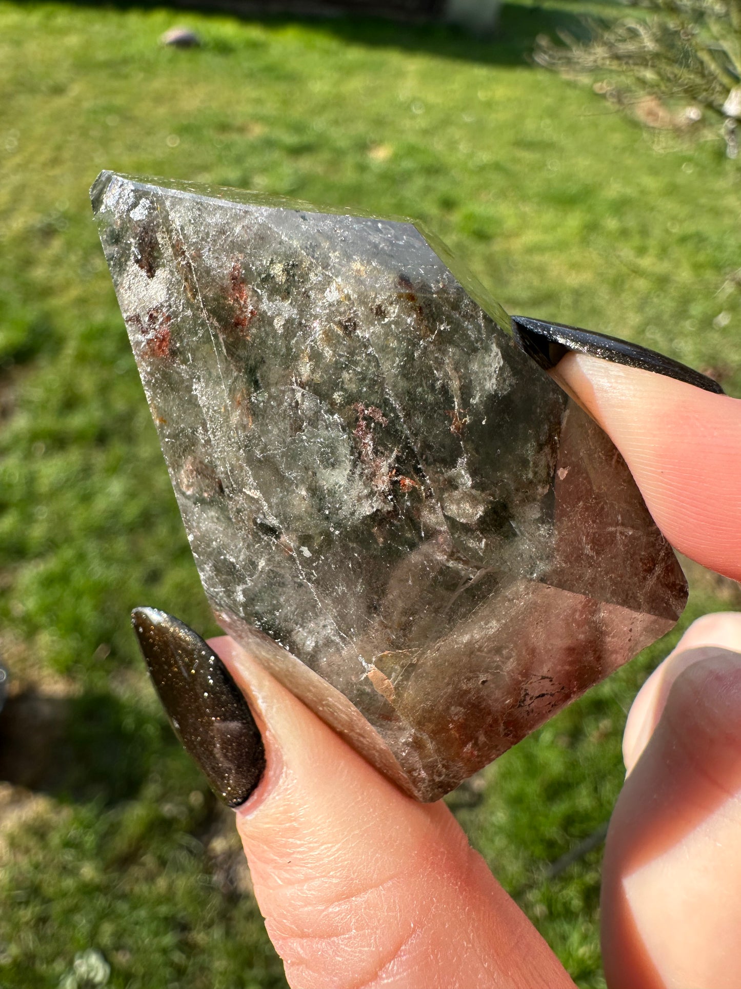 Lodolite / quartz jardin